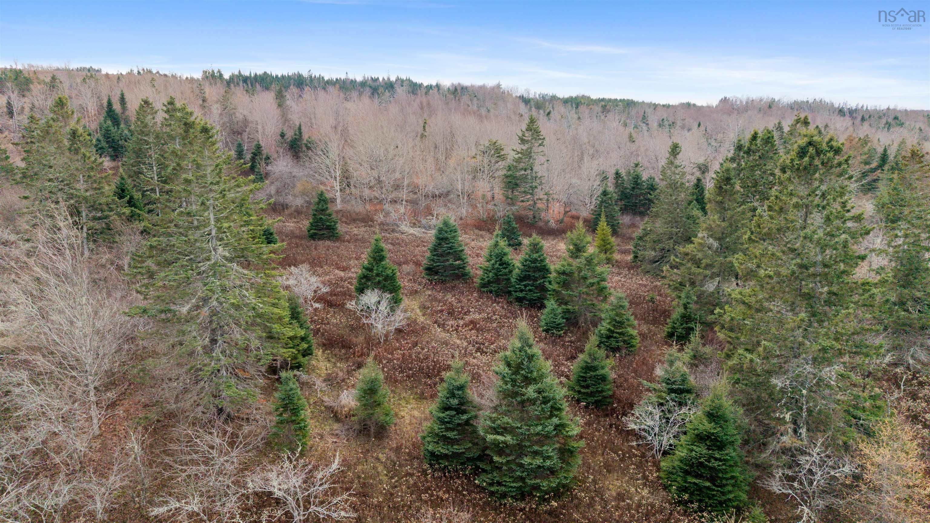 $59,900.00: Lot 24-1 Highway 4, Mount Thom