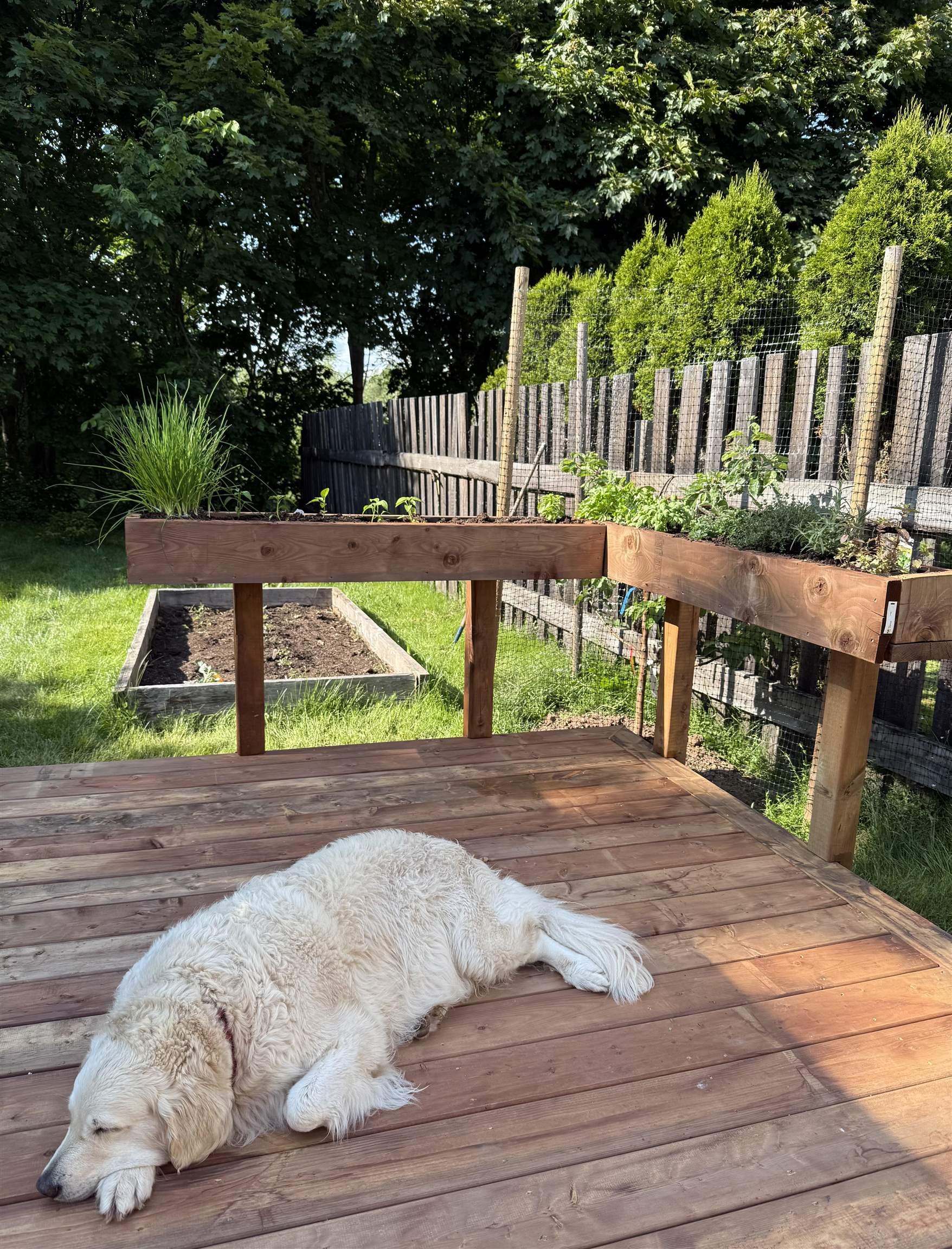 $399,900.00: 411 Robie Street, Truro