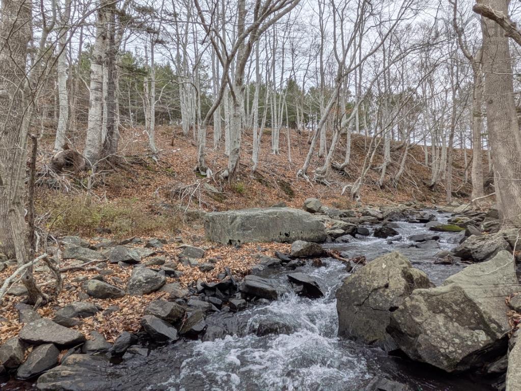 $99,000.00: 6903 Highway 101, Gilberts Cove