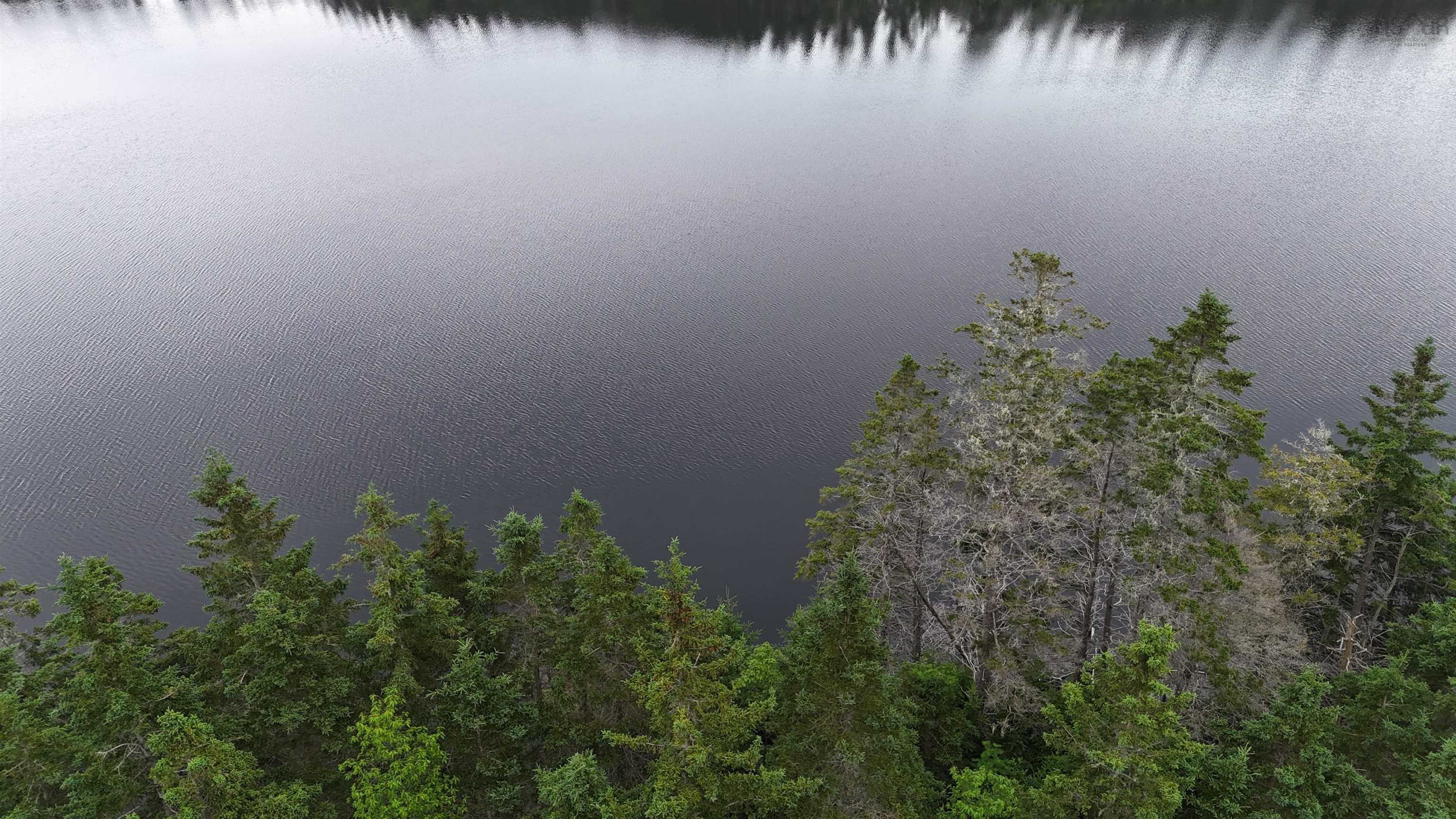 $85,000.00: Highway 344, St. Francis Harbour