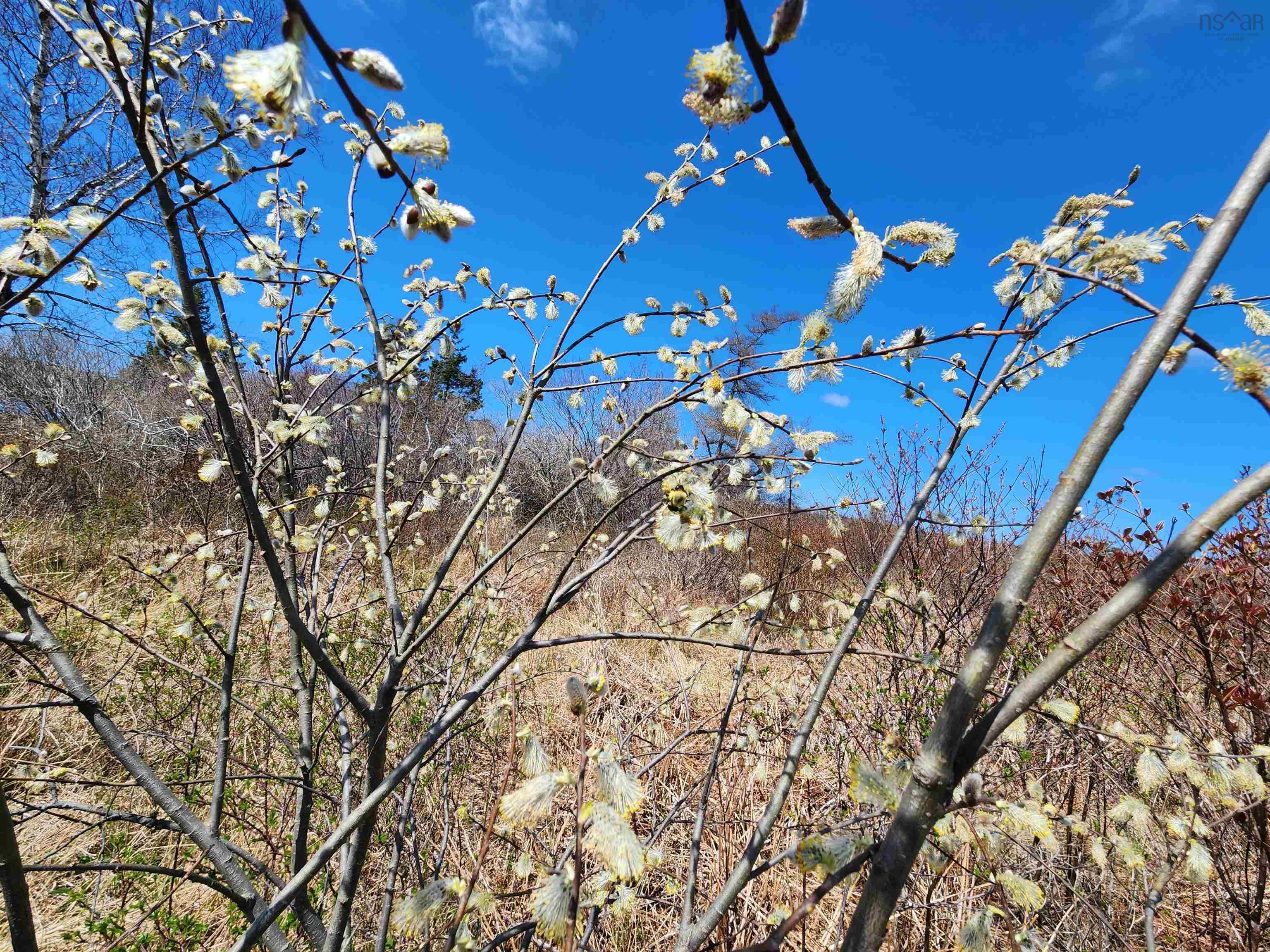 $49,000.00: Lot Small Gains Road, Brooklyn