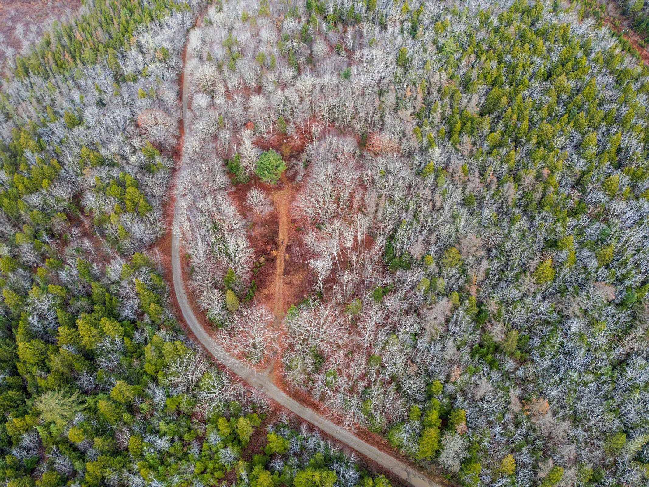 $34,000.00: 935 Hamilton Road, Raynardton