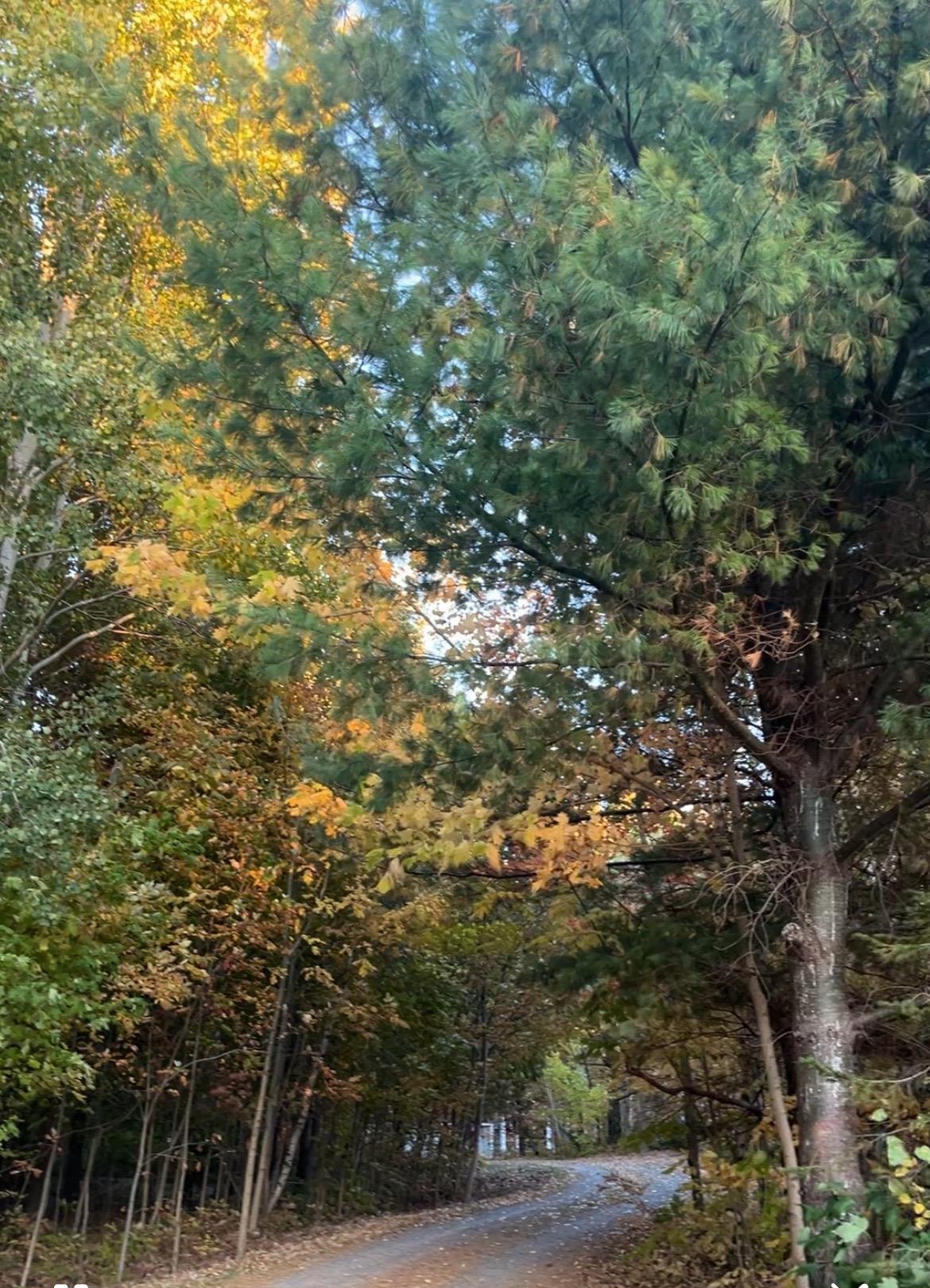 $1,247,000.00: 822 Cleveland Road, Windermere