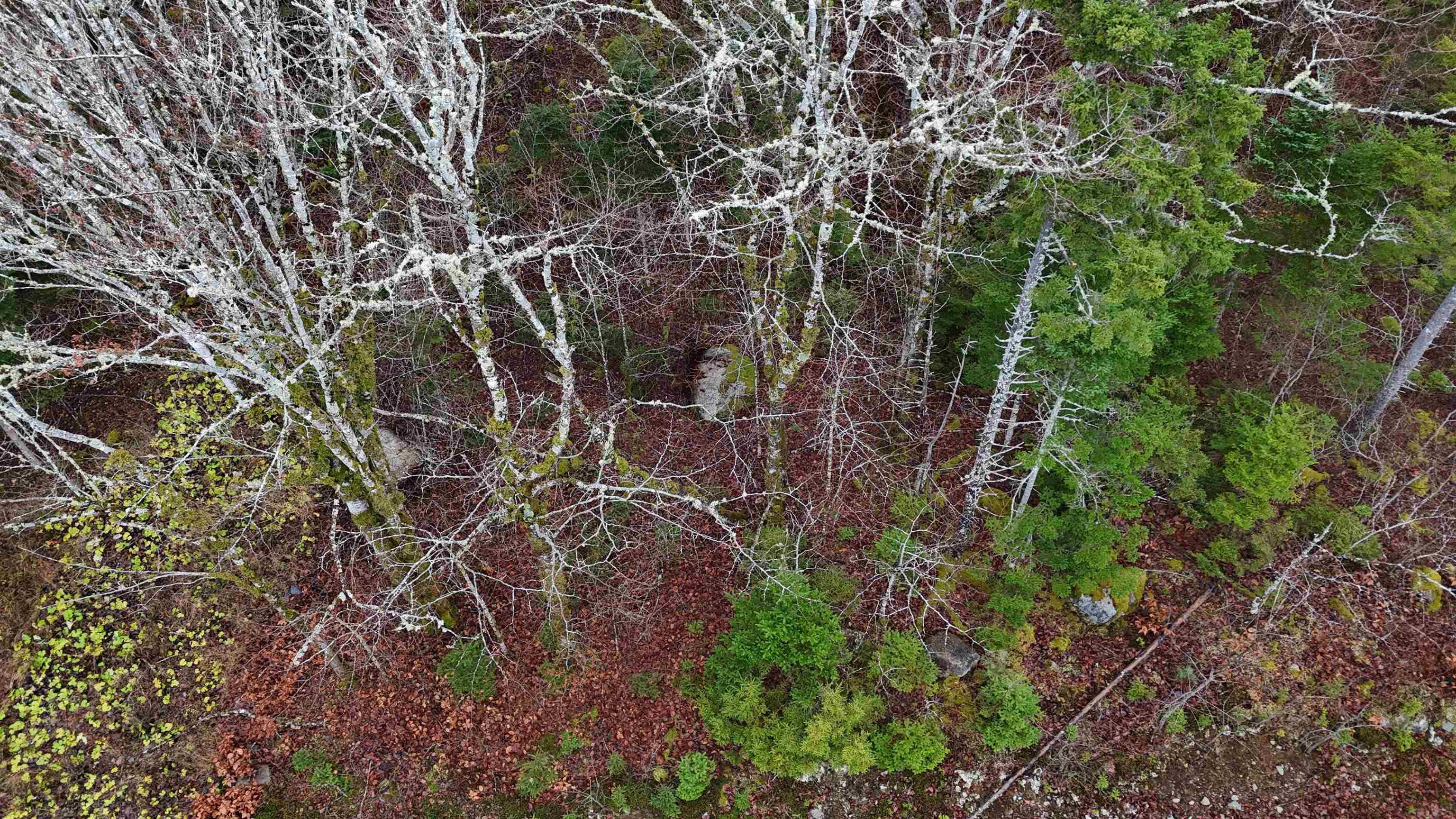 $30,000.00: Lot 5 Nathan Croft Road, Camperdown