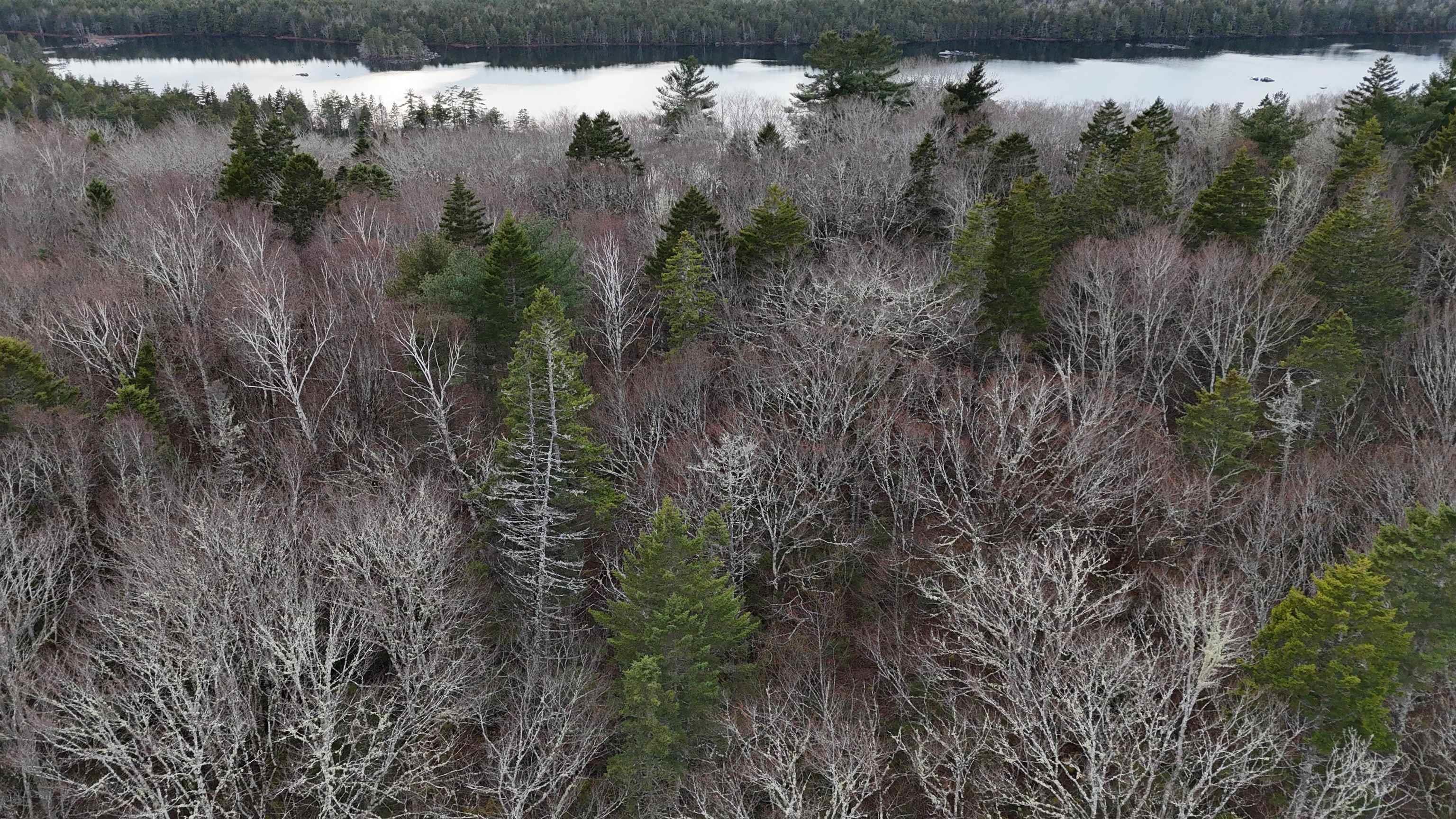 $30,000.00: Lot 5 Nathan Croft Road, Camperdown