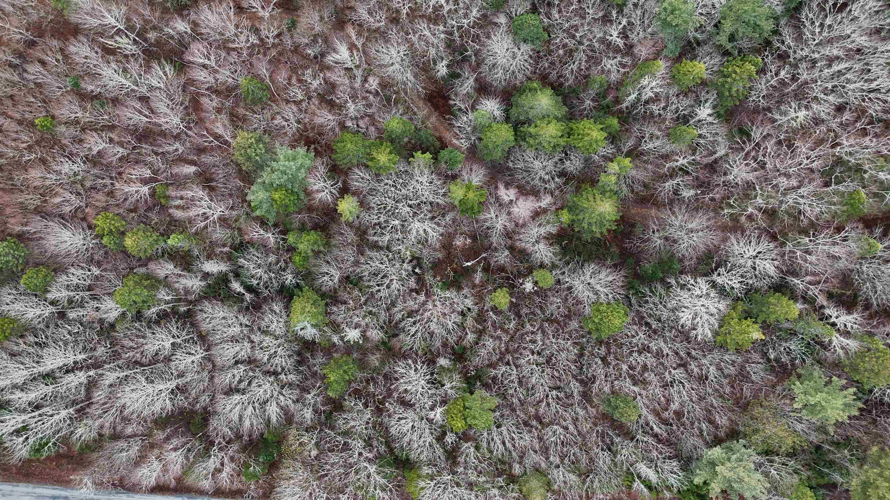 $30,000.00: Lot 5 Nathan Croft Road, Camperdown