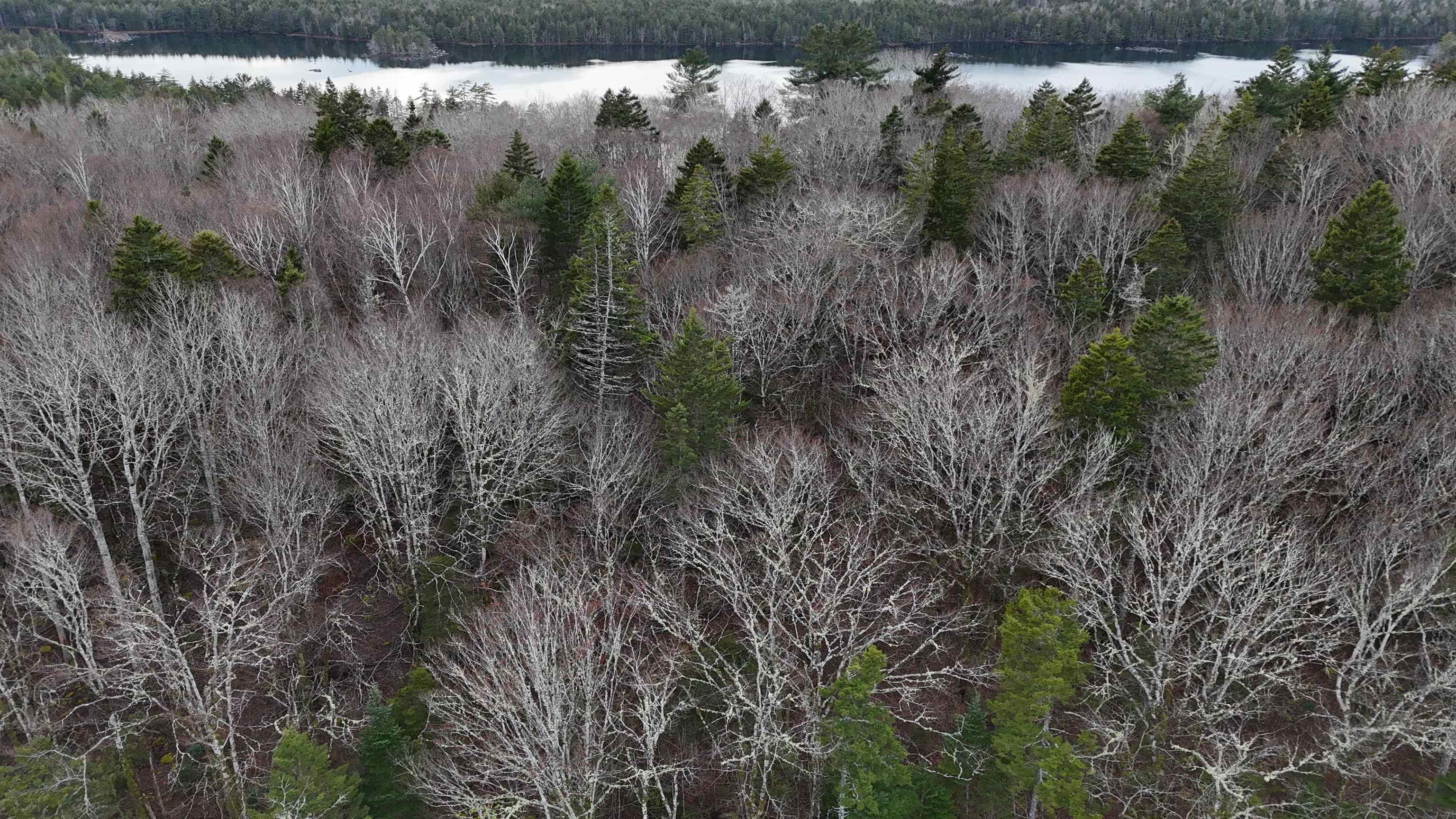 $30,000.00: Lot 5 Nathan Croft Road, Camperdown