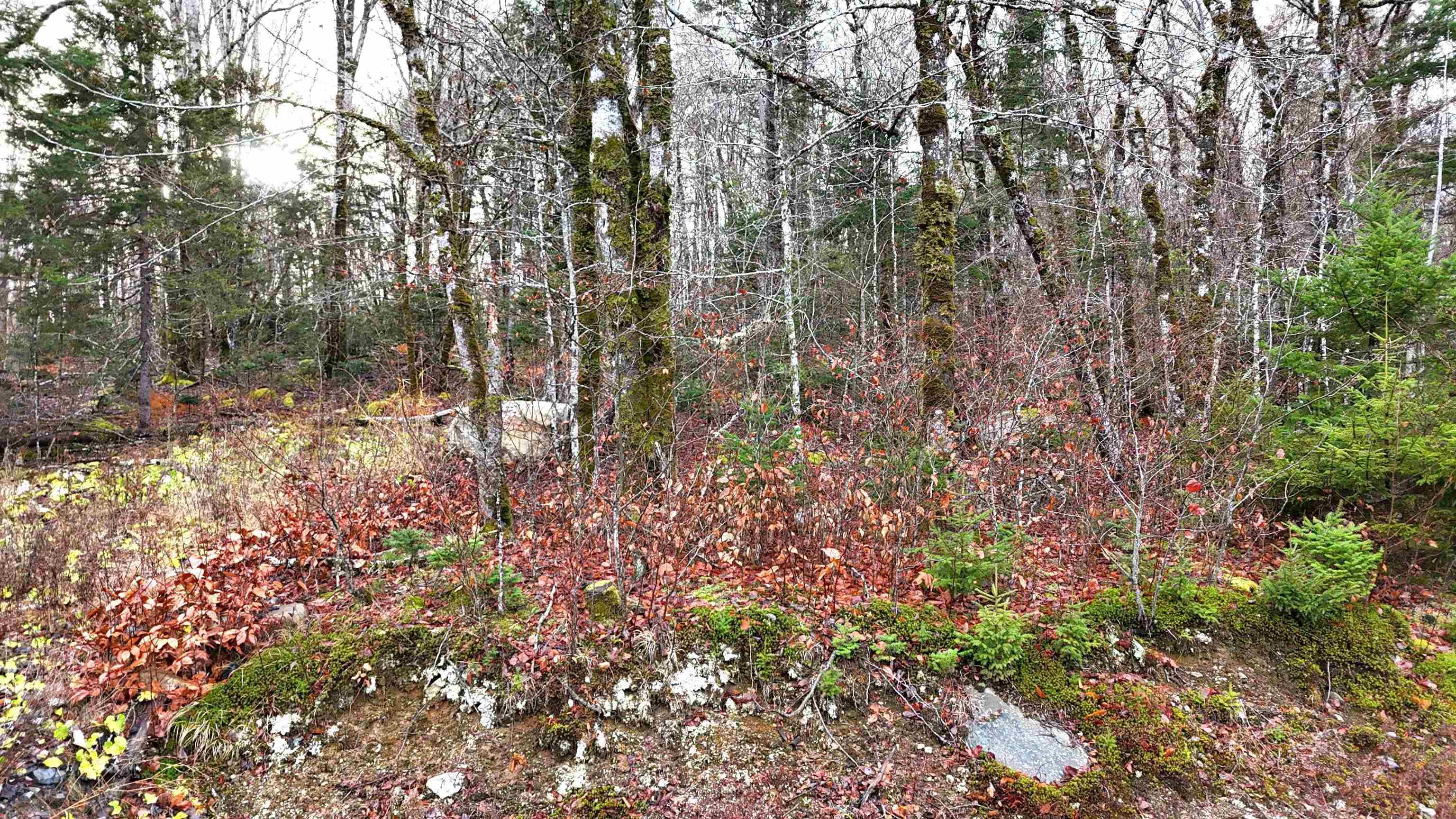 $30,000.00: Lot 5 Nathan Croft Road, Camperdown