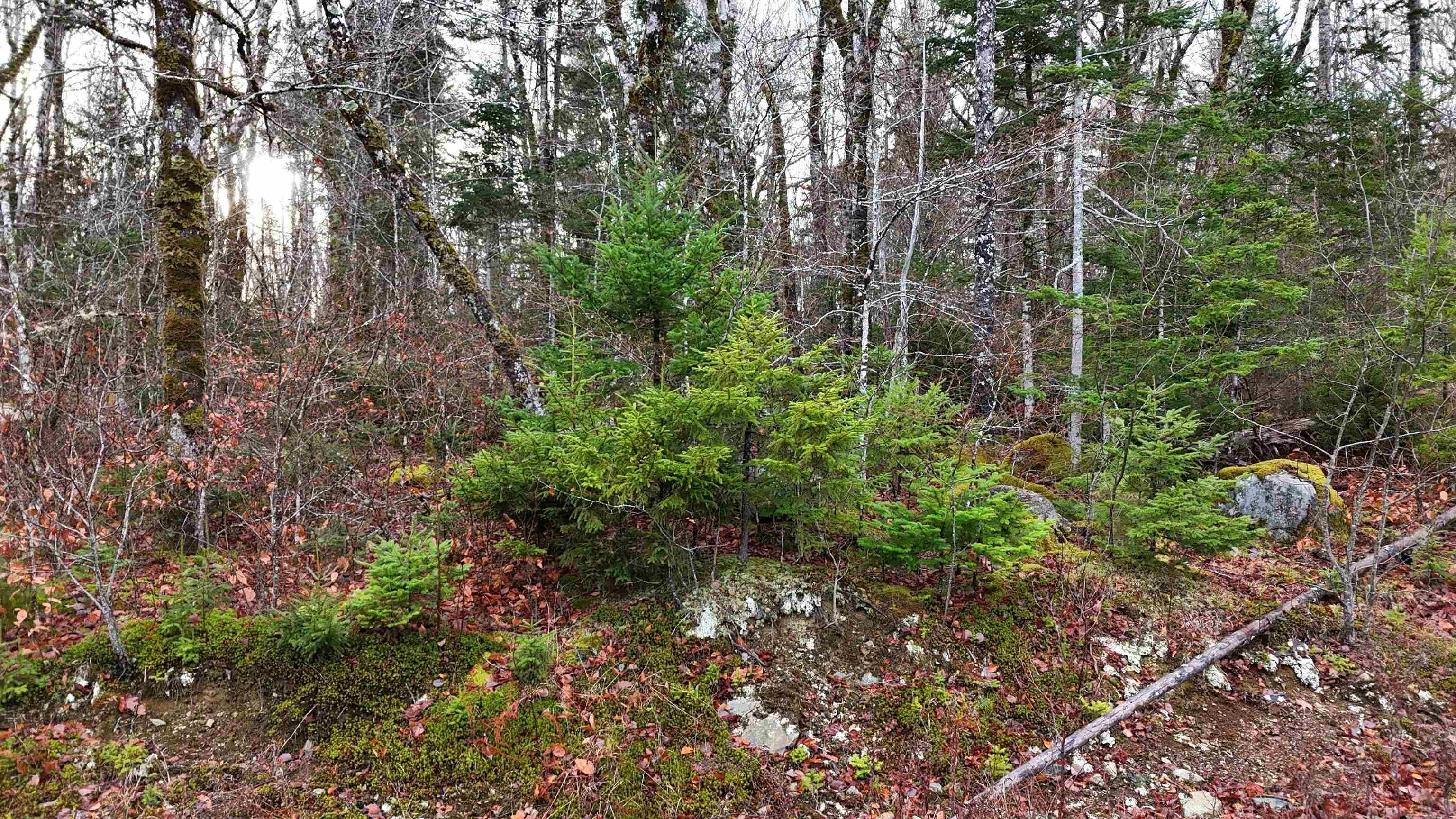 $30,000.00: Lot 5 Nathan Croft Road, Camperdown