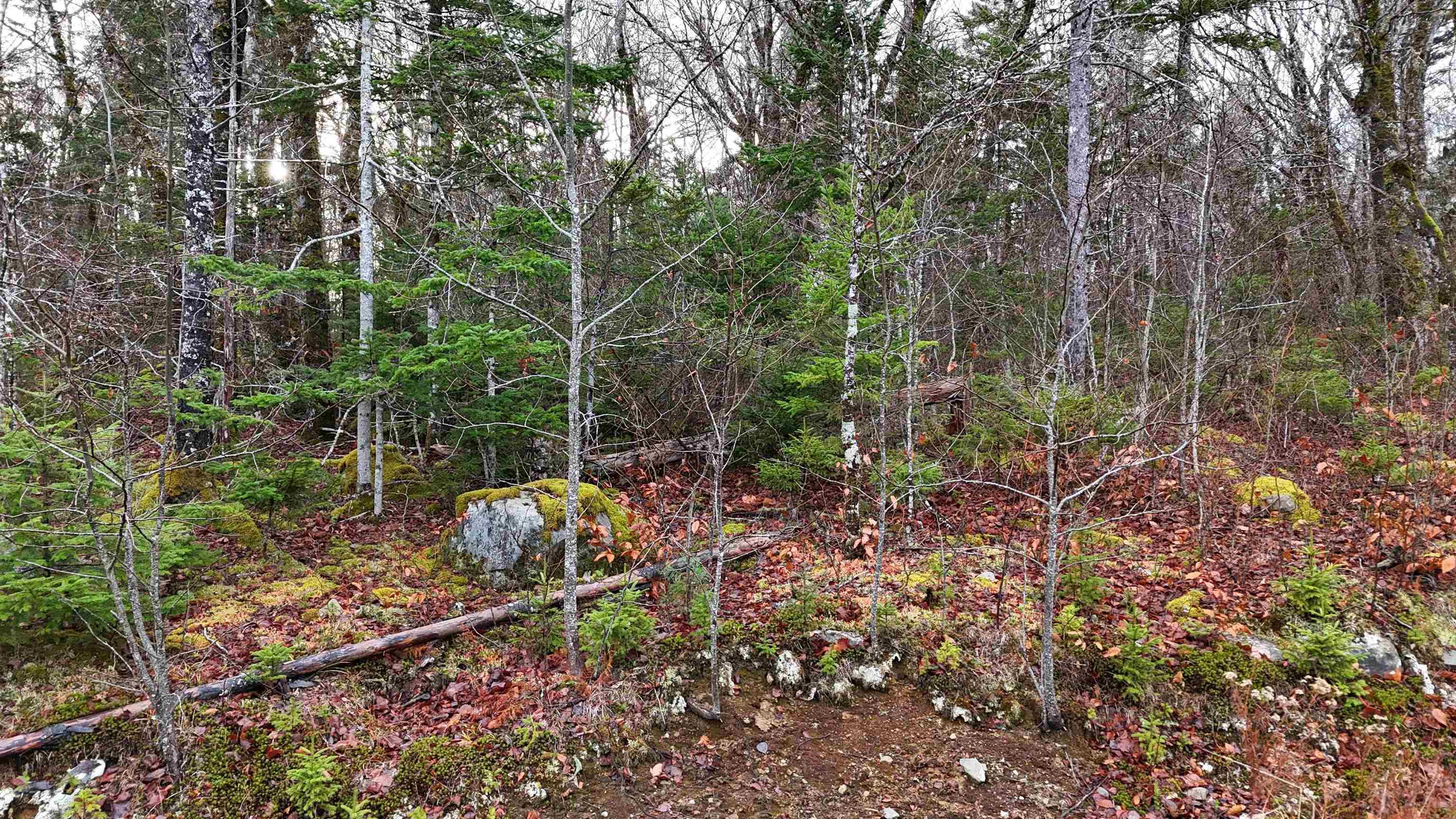 $30,000.00: Lot 5 Nathan Croft Road, Camperdown