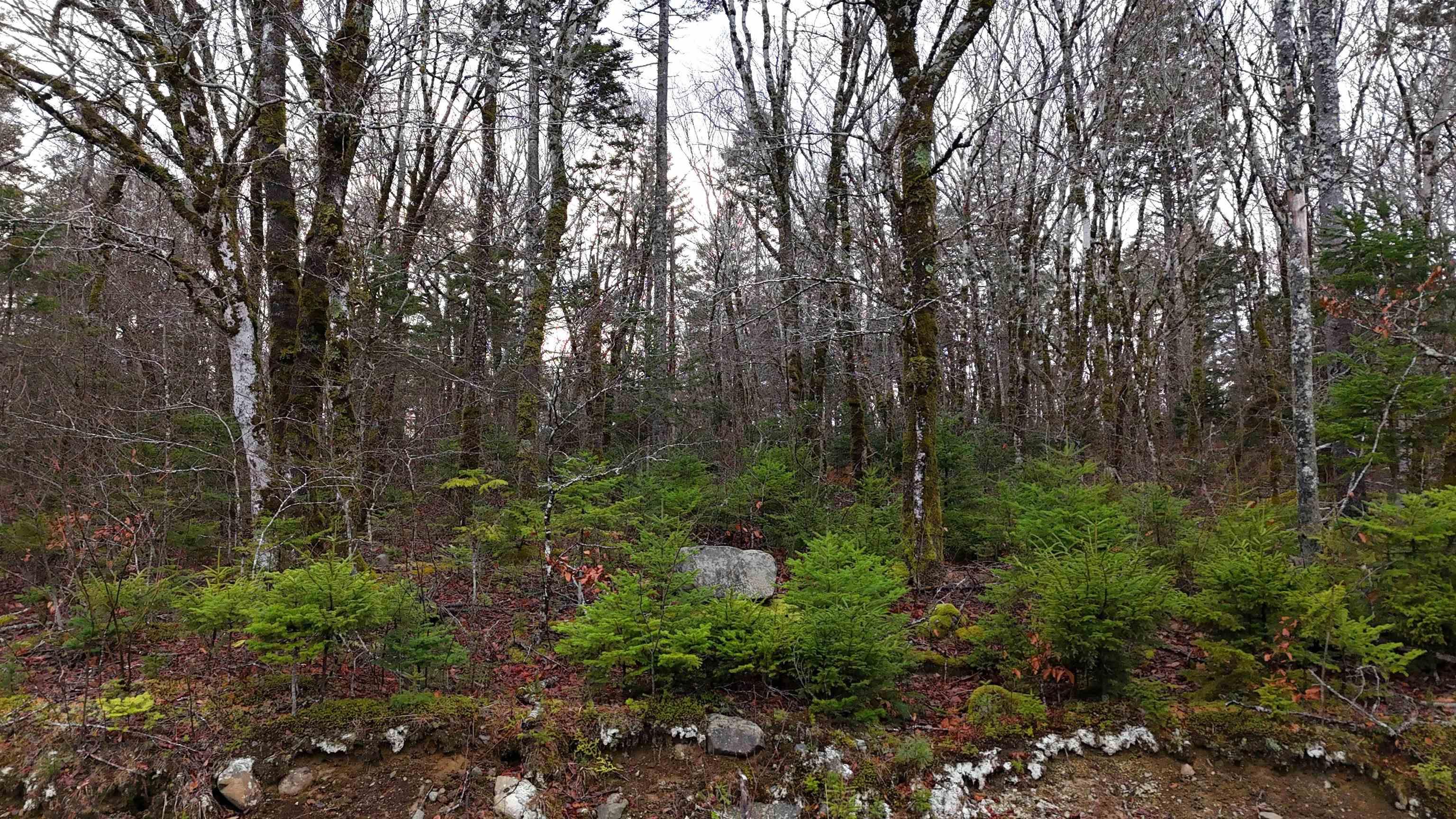 $30,000.00: Lot 5 Nathan Croft Road, Camperdown