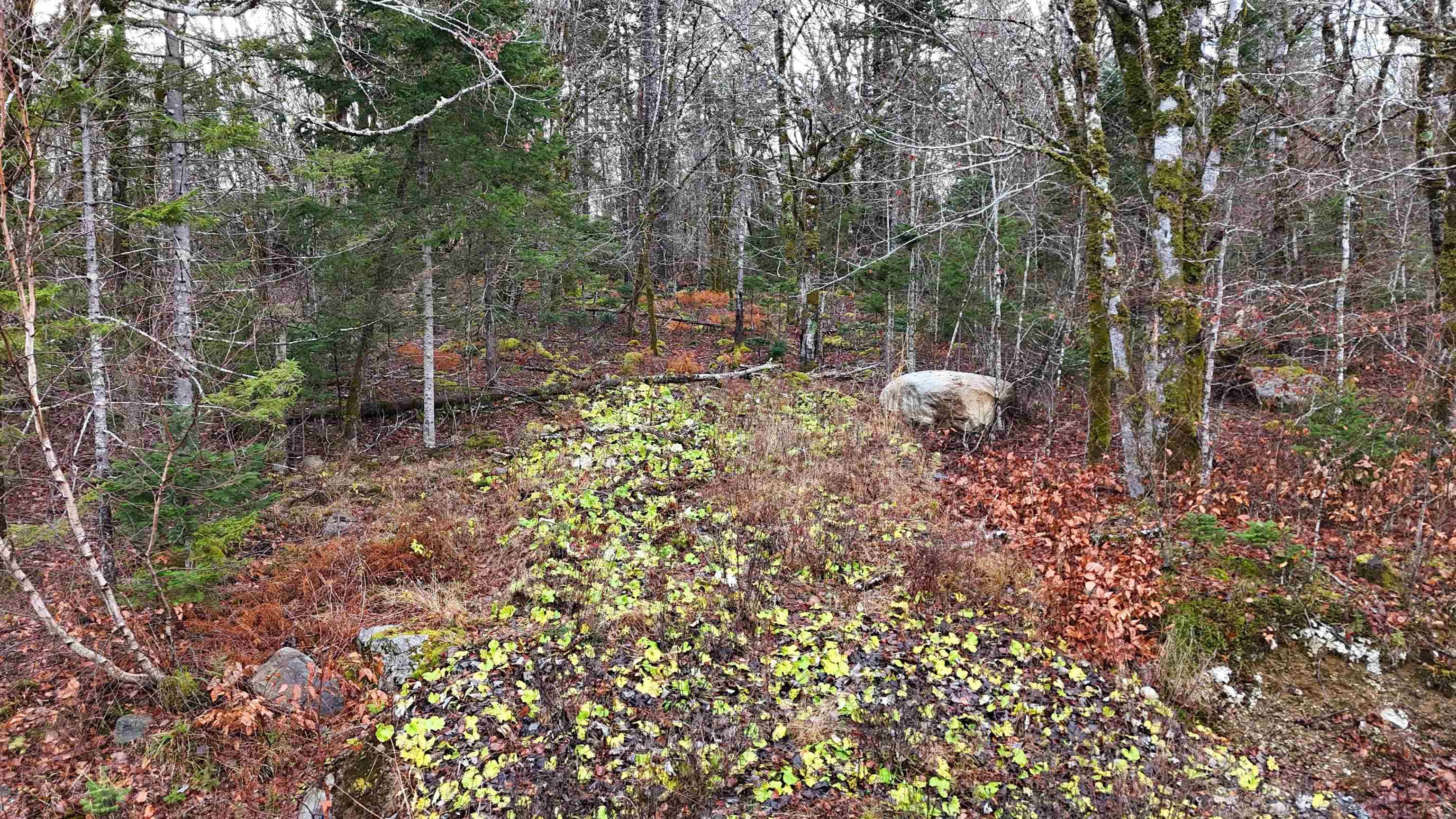 $30,000.00: Lot 5 Nathan Croft Road, Camperdown