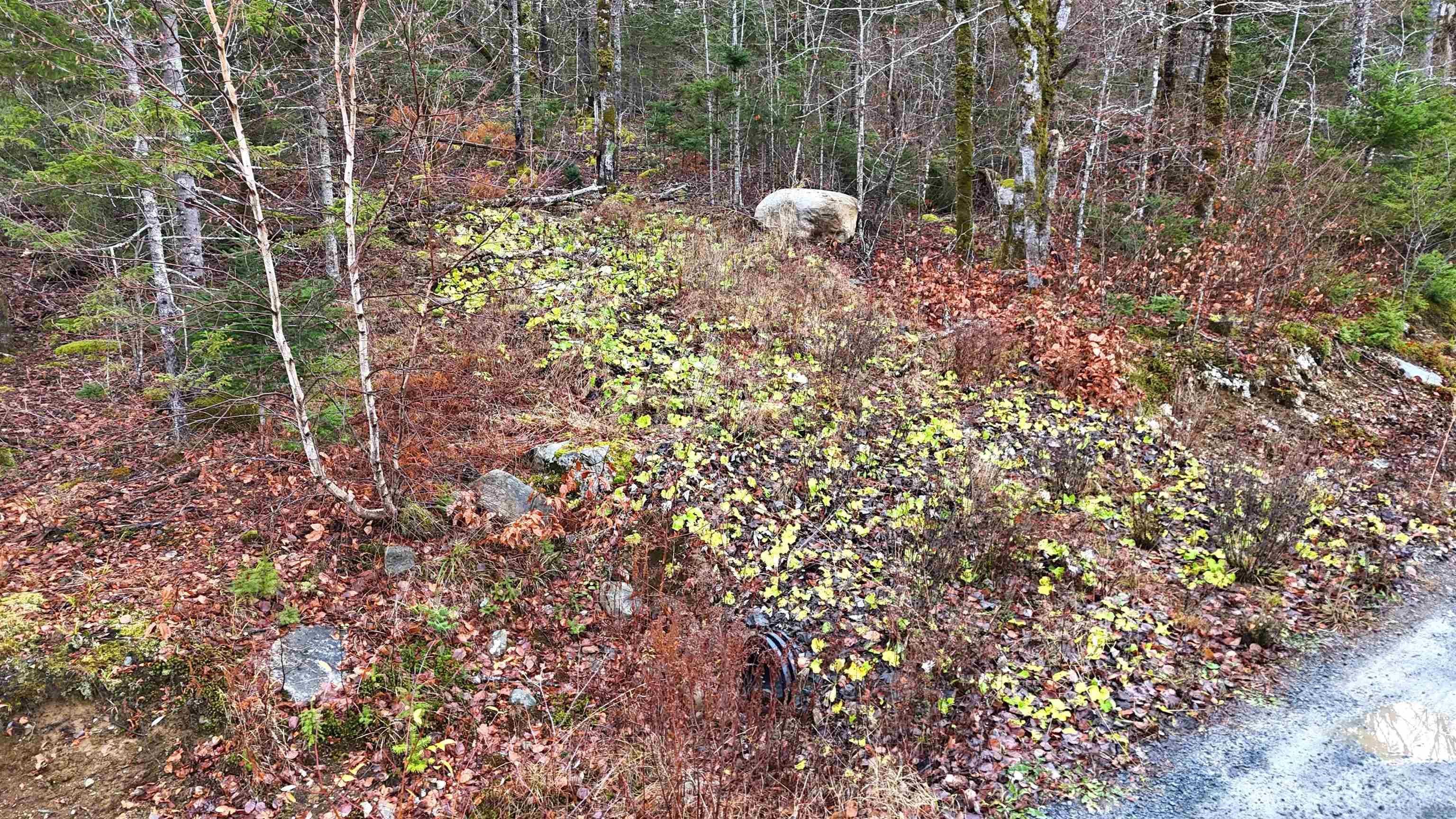 $30,000.00: Lot 5 Nathan Croft Road, Camperdown