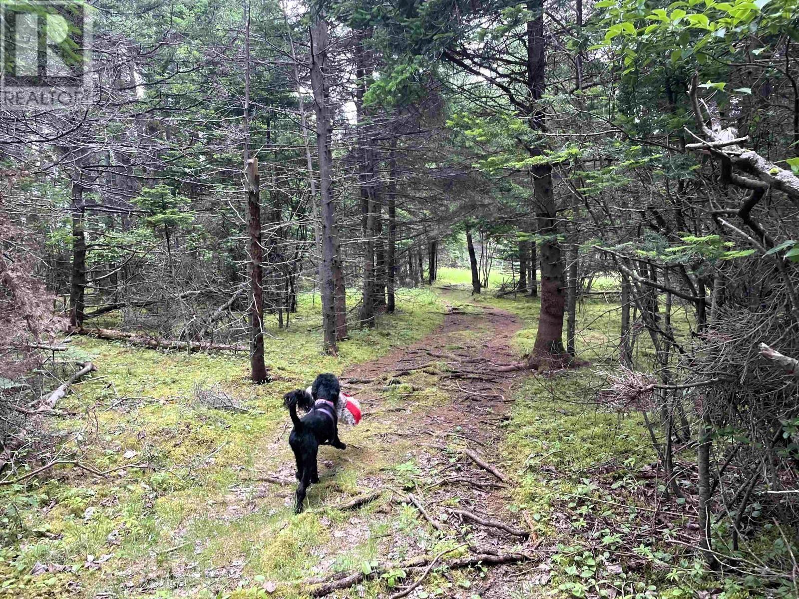 $499,900.00: 3067 320 Highway, D