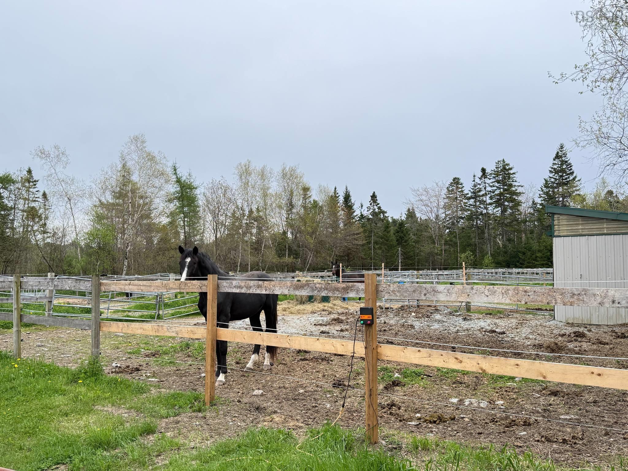 $1,250,000.00: 401 Highway 1, Mount Uniacke