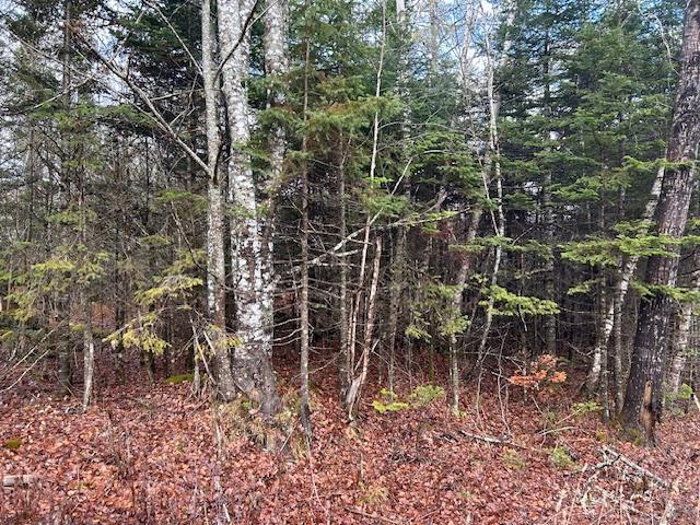 $139,900.00: Mines Road, Upper Falmouth