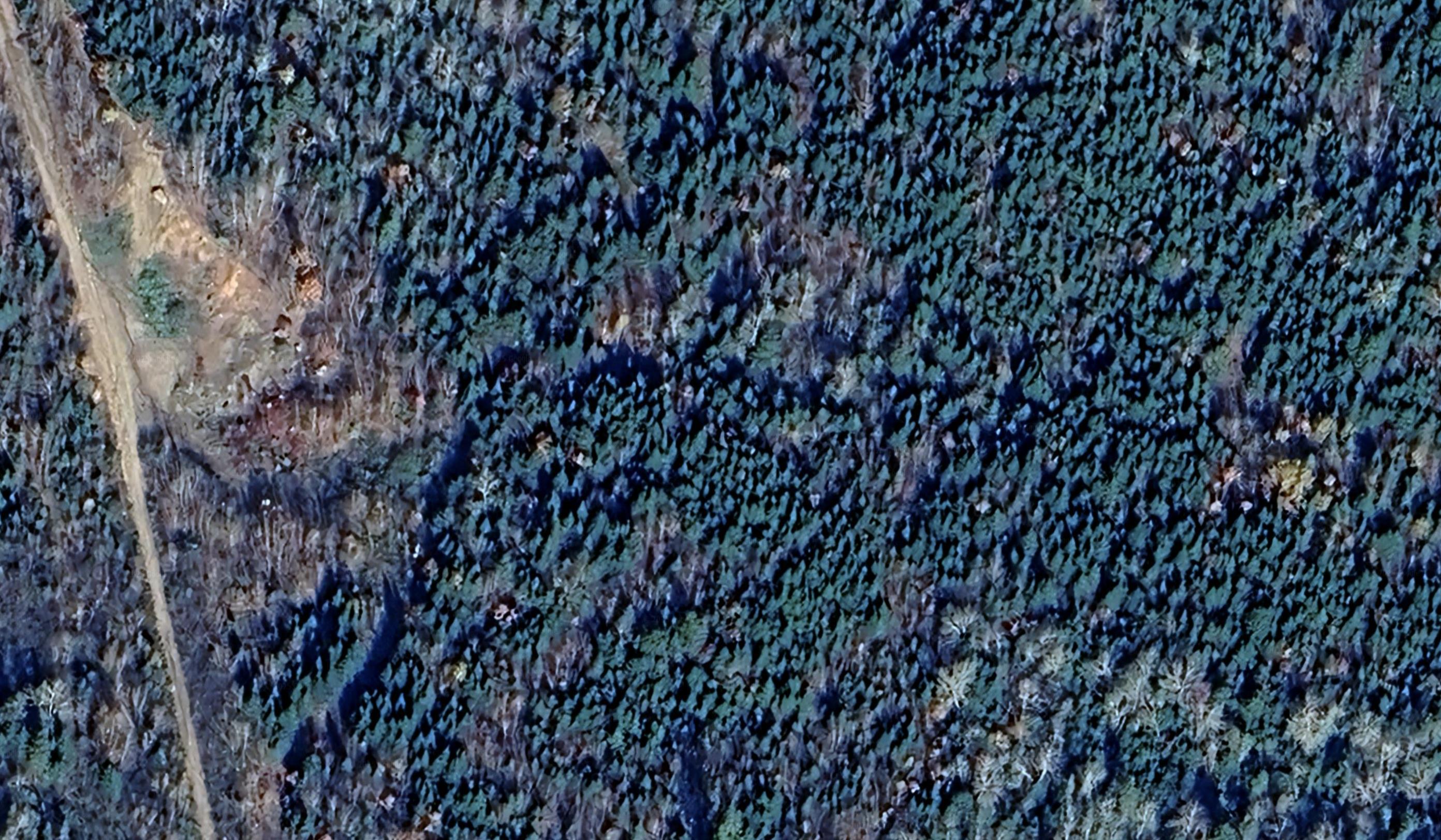 $139,900.00: Mines Road, Upper Falmouth