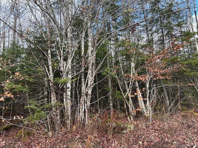 $139,900.00: Mines Road, Upper Falmouth