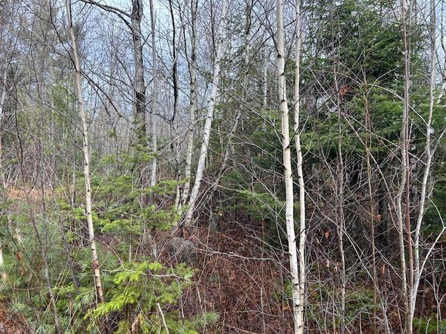 $139,900.00: Mines Road, Upper Falmouth