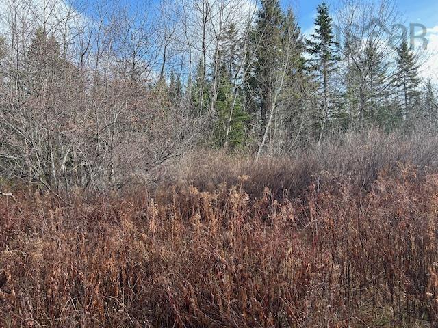 $139,900.00: Mines Road, Upper Falmouth