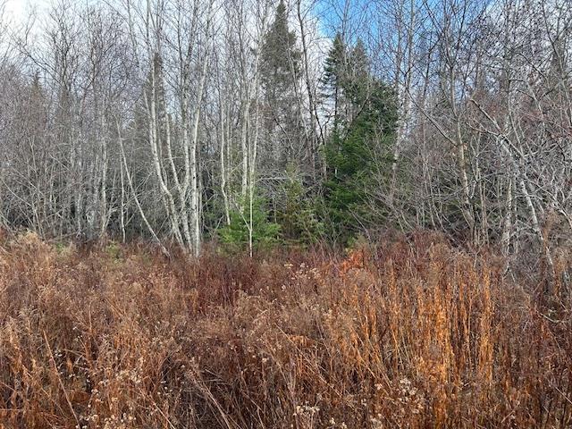 $139,900.00: Mines Road, Upper Falmouth