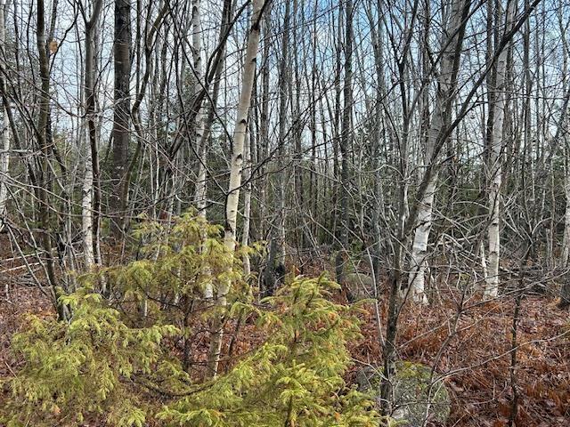 $139,900.00: Mines Road, Upper Falmouth