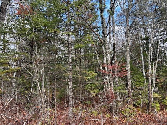 $139,900.00: Mines Road, Upper Falmouth