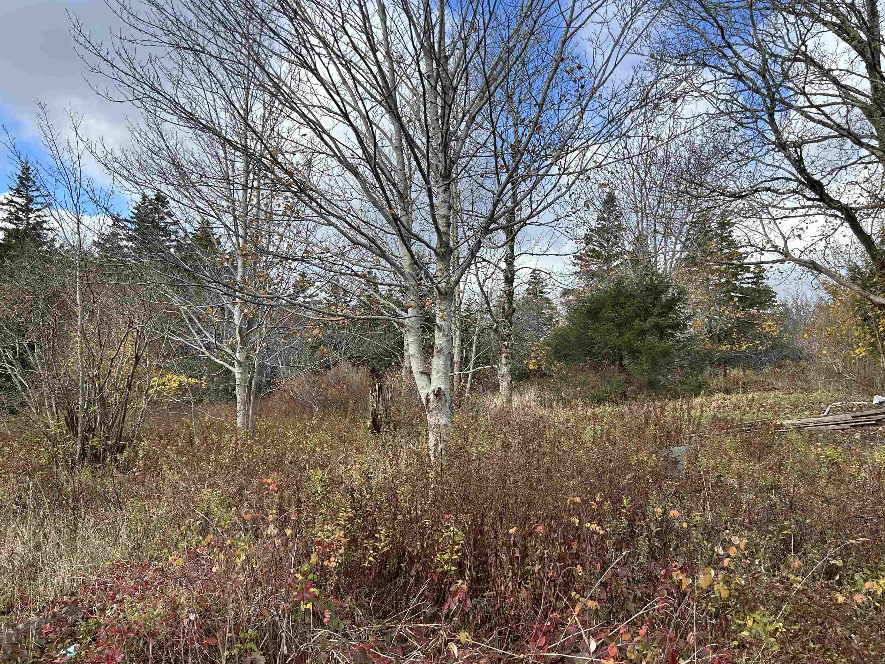 $98,000.00: 2936 Highway 3, Barrington