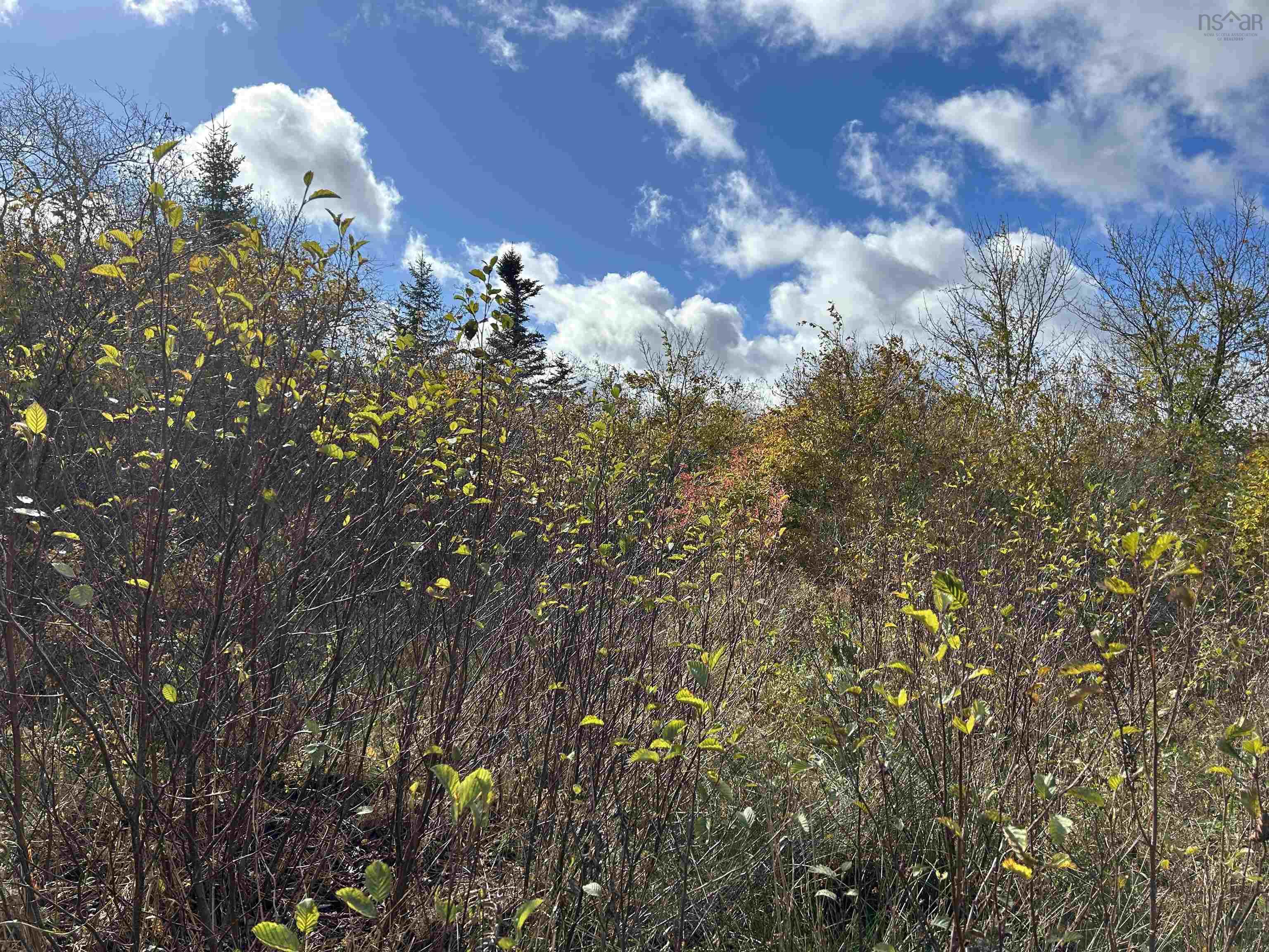 $98,000.00: 2936 Highway 3, Barrington