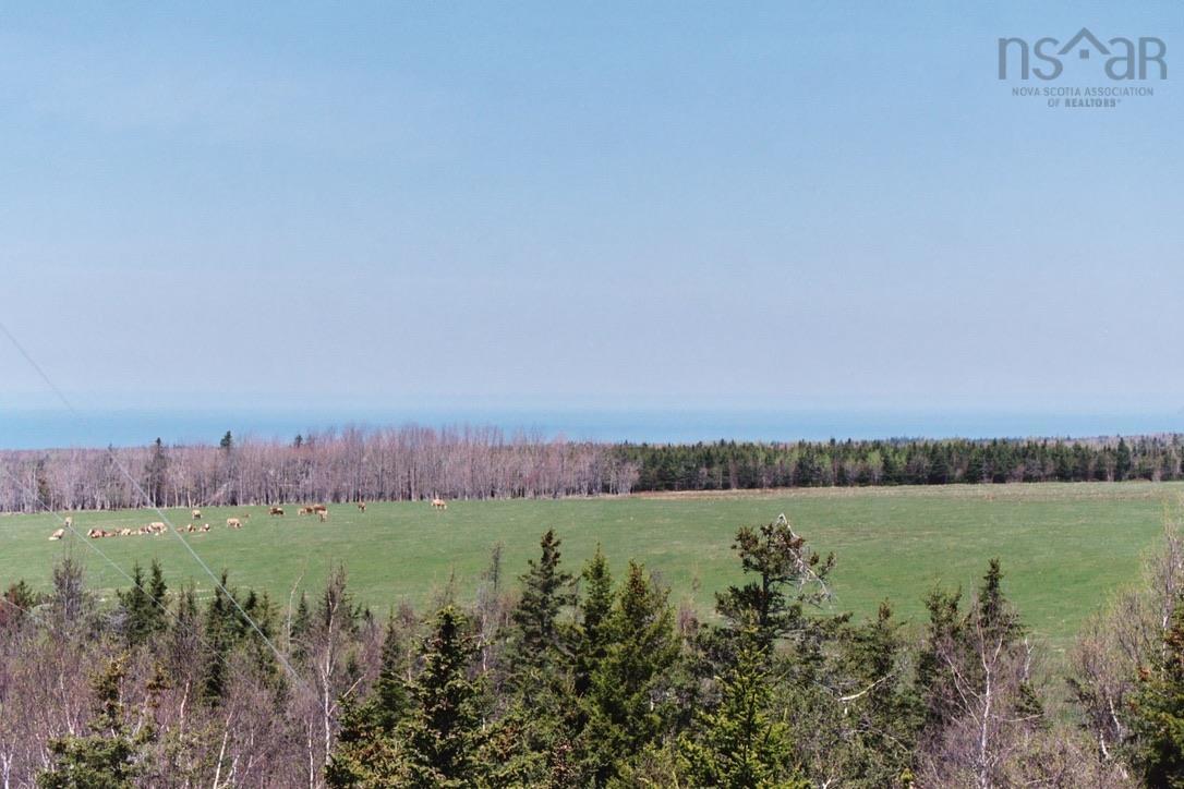 $79,000.00: Lot A Stronach Mountain Road, Melvern Square