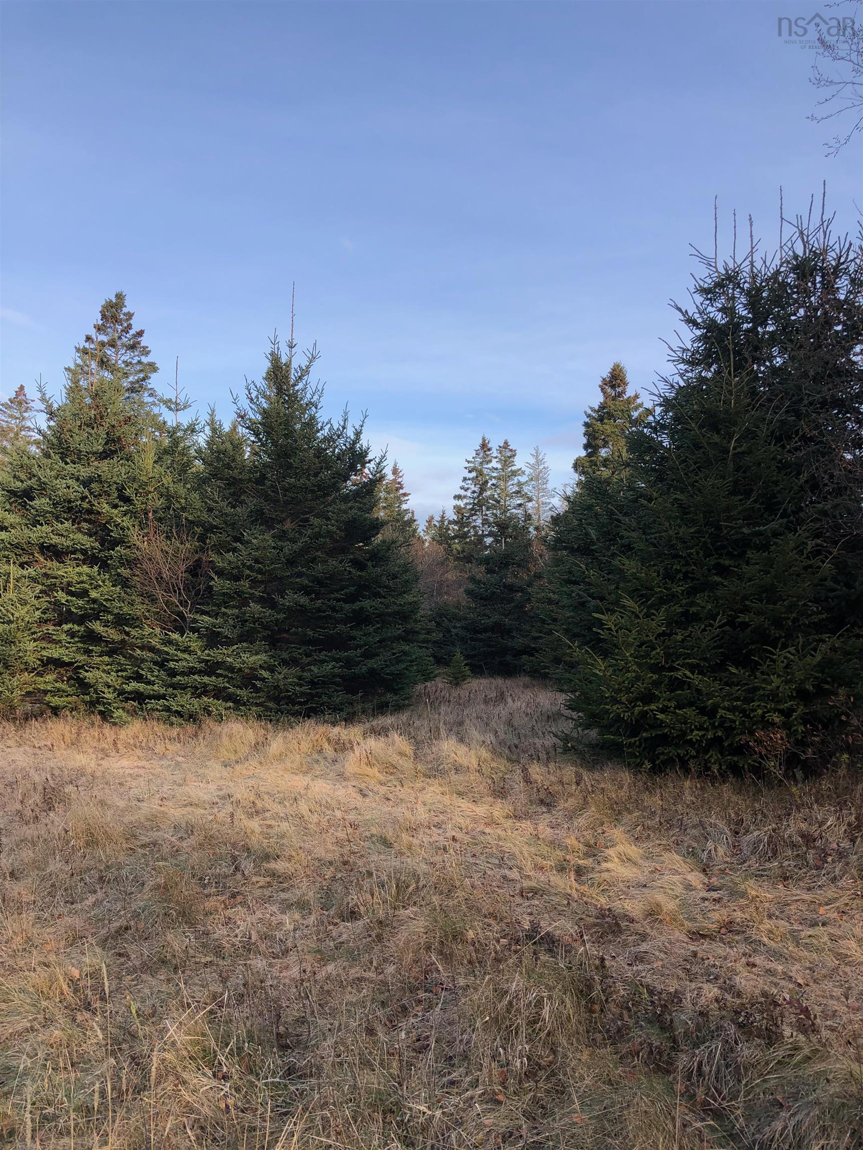 $245,000.00: Lot 8-a Woodenship Lane, Feltzen South