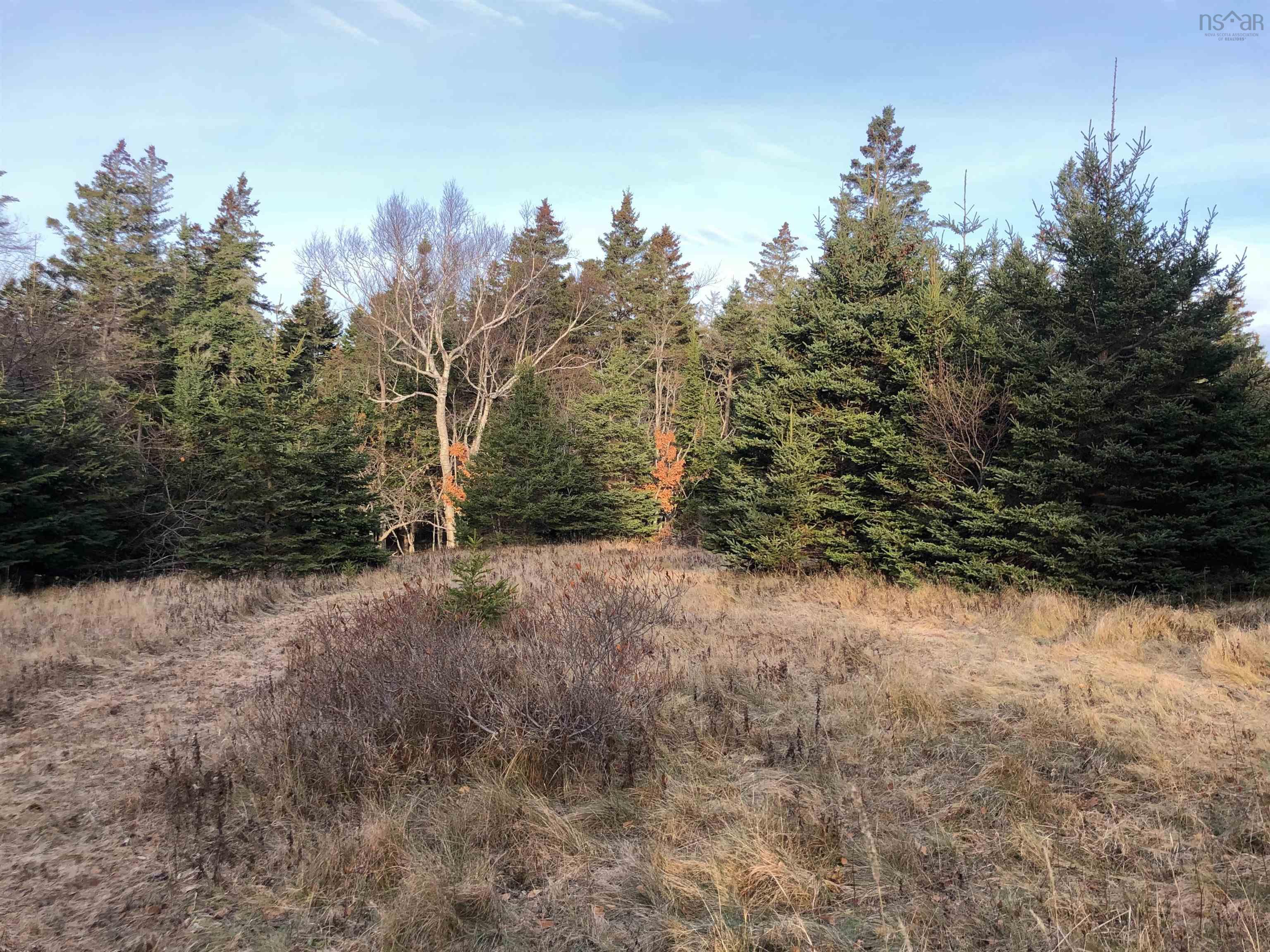 $245,000.00: Lot 8-a Woodenship Lane, Feltzen South