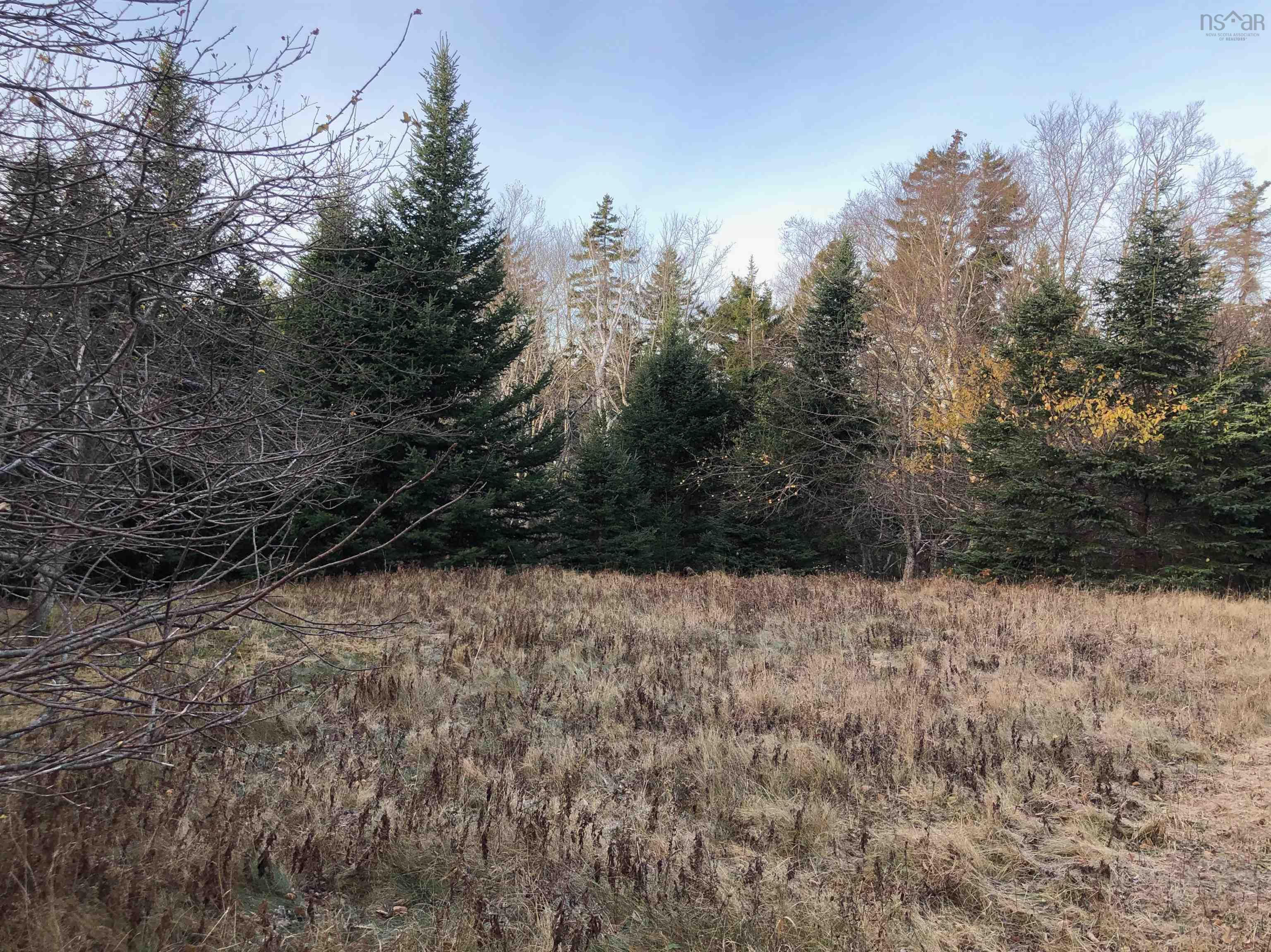 $245,000.00: Lot 8-a Woodenship Lane, Feltzen South