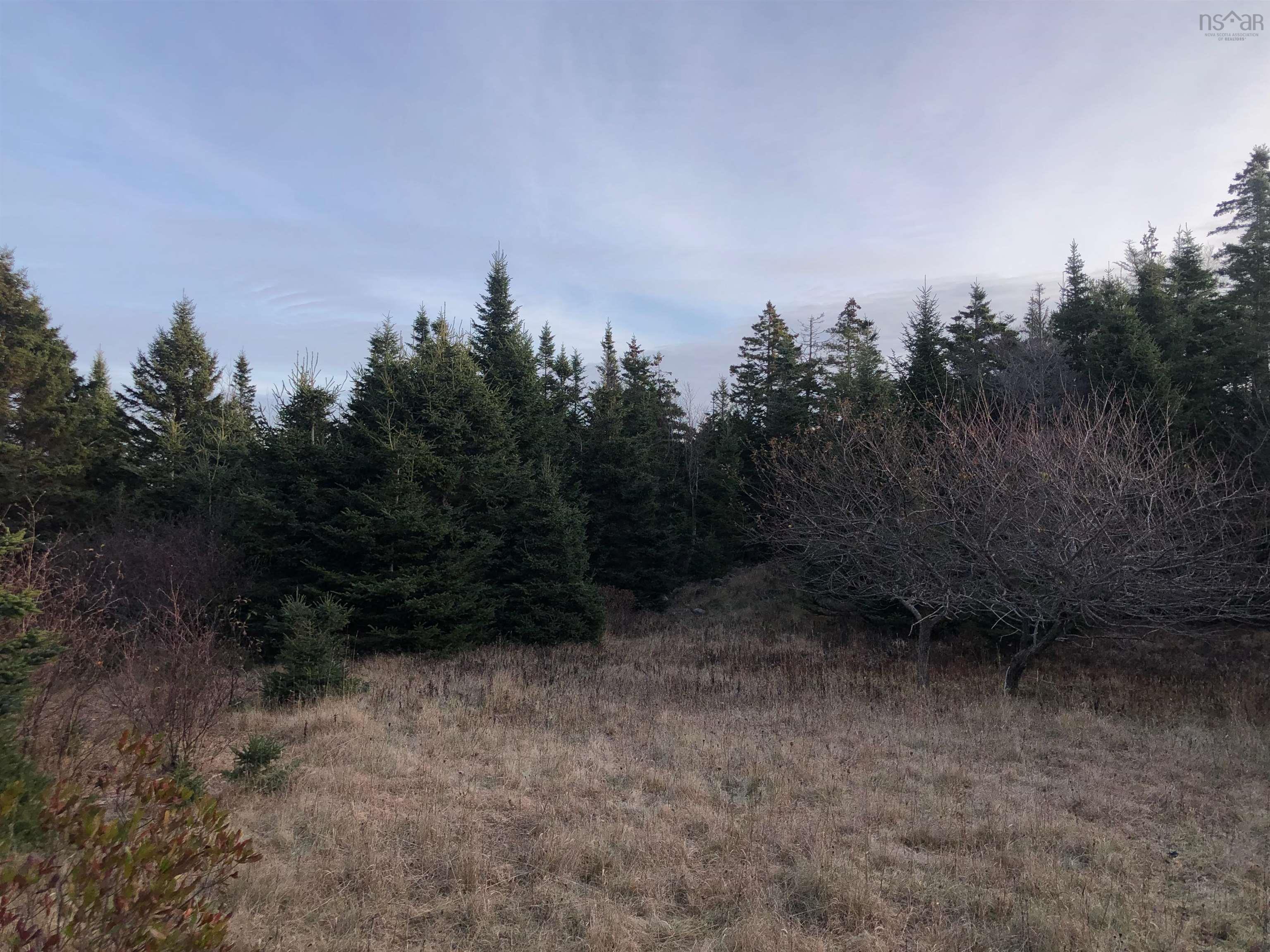 $245,000.00: Lot 8-a Woodenship Lane, Feltzen South