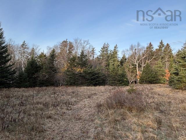 $245,000.00: Lot 8-a Woodenship Lane, Feltzen South