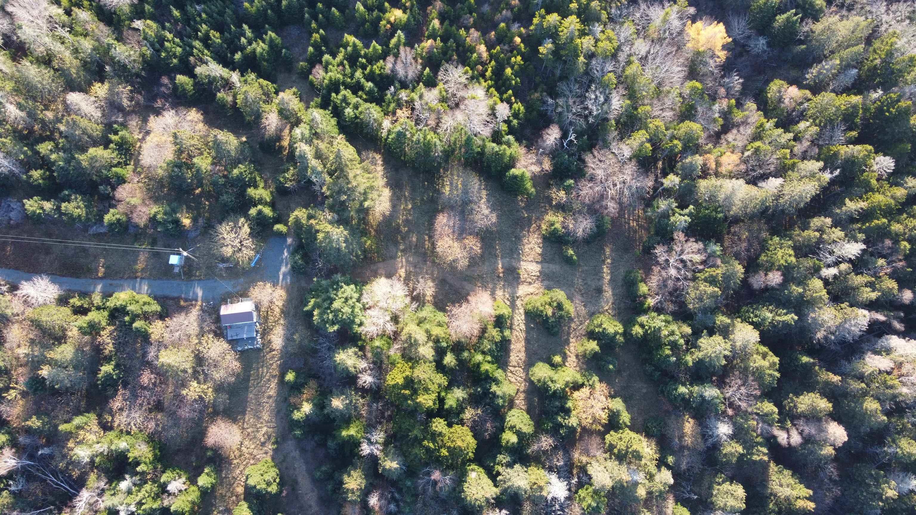 $245,000.00: Lot 8-a Woodenship Lane, Feltzen South