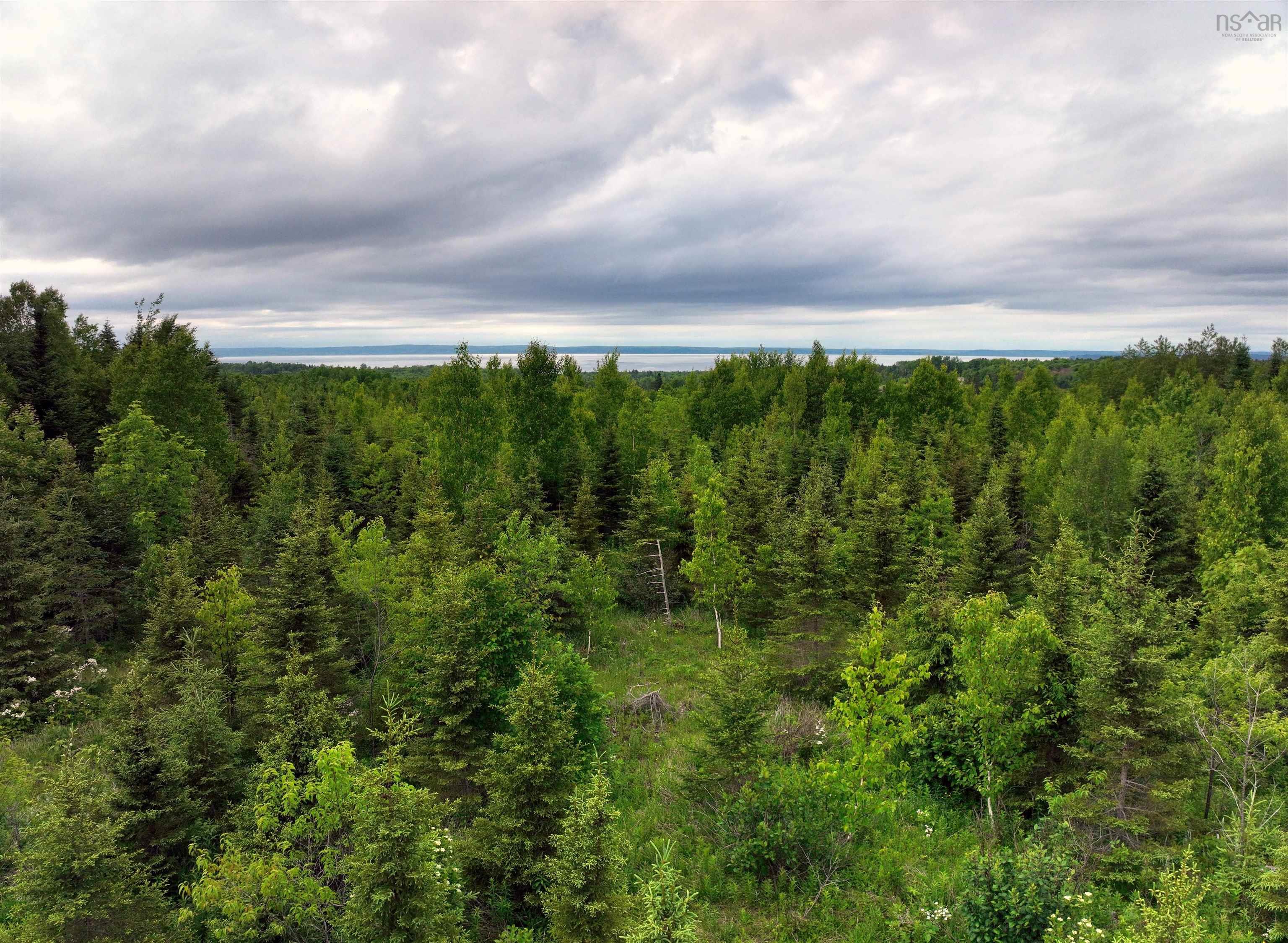 $68,500.00: Lot 3 Baxters Harbour Road, Baxters Harbour