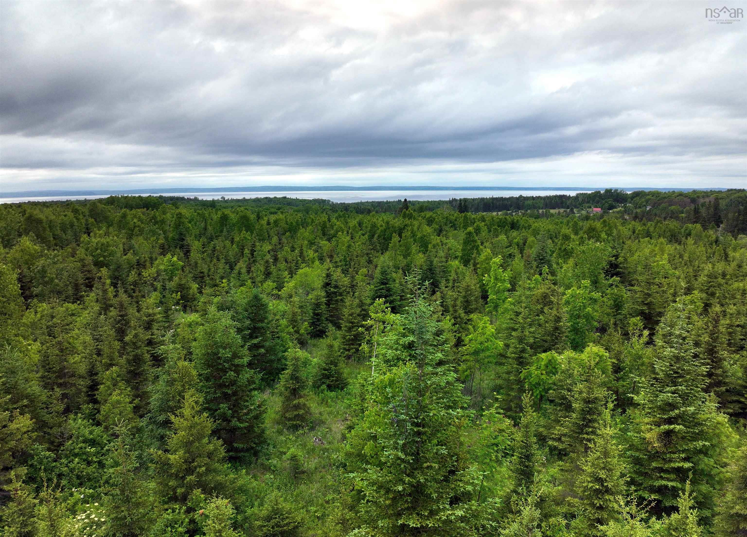 $68,500.00: Lot 4 Baxters Harbour Road, Baxters Harbour