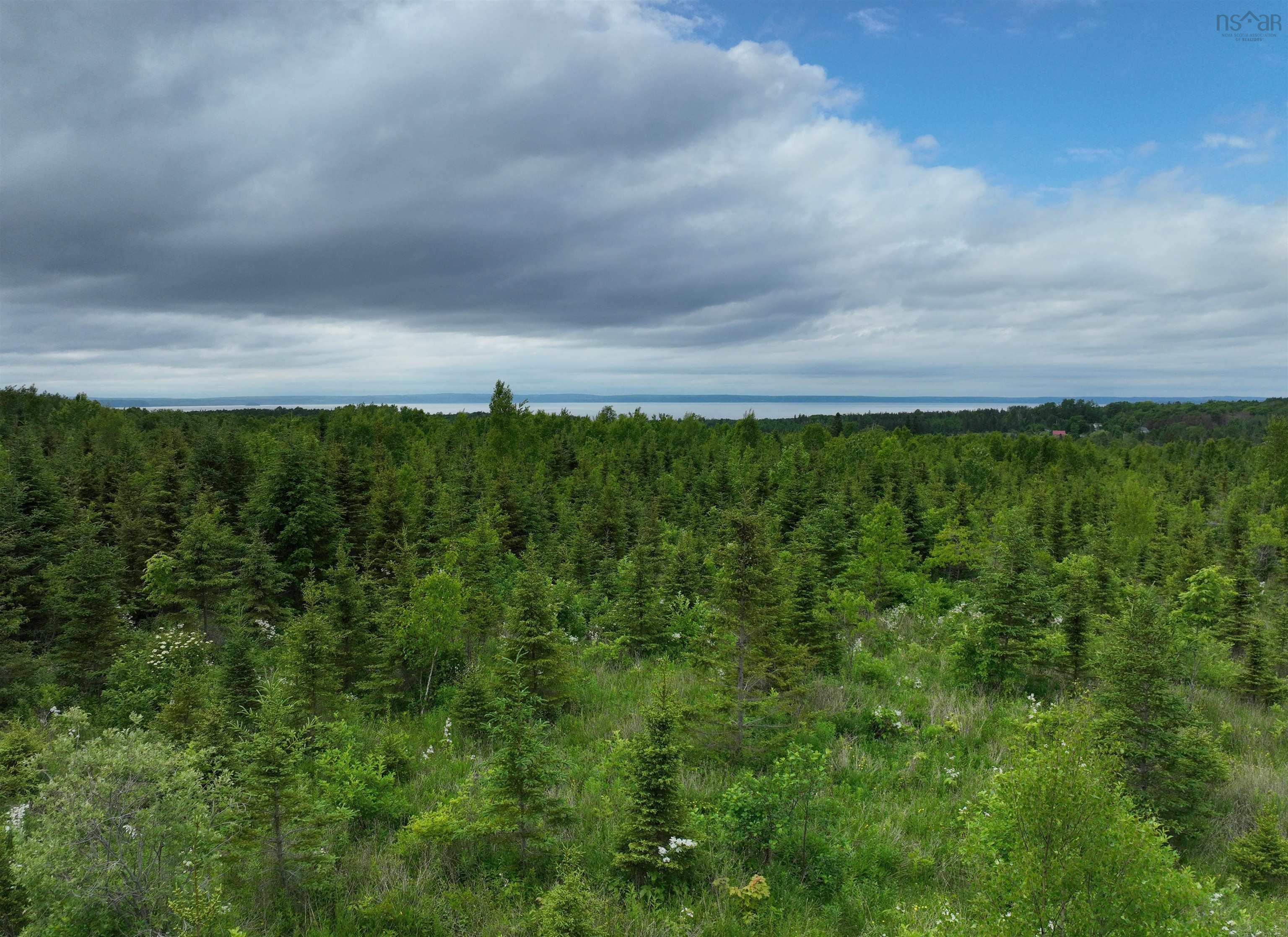 $68,500.00: Lot 4 Baxters Harbour Road, Baxters Harbour