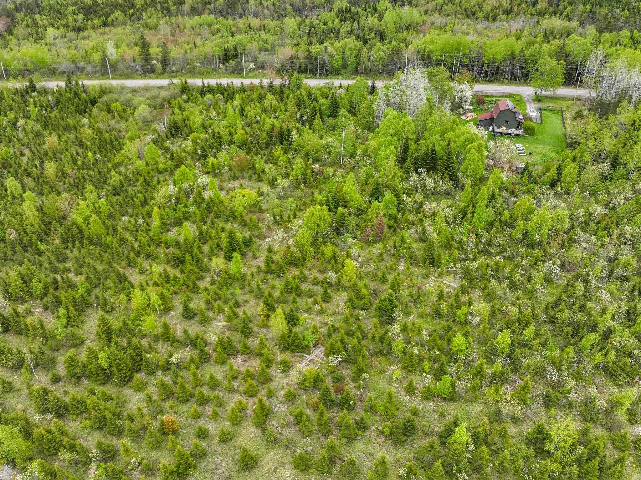 $68,500.00: Lot 4 Baxters Harbour Road, Baxters Harbour