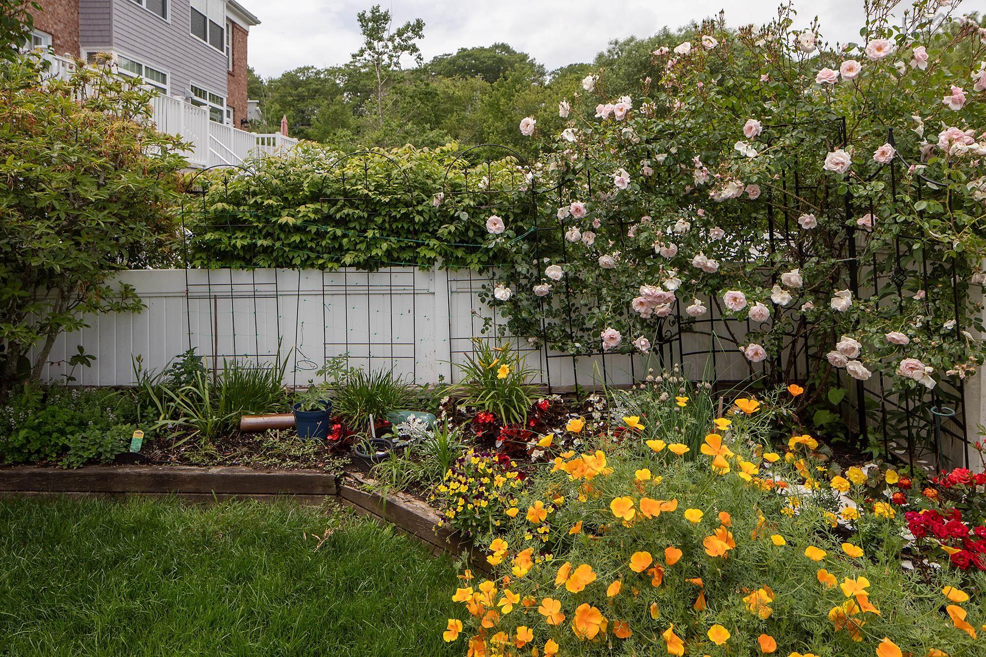 $892,000.00: 4 Arthur Lismer Court, Bedford