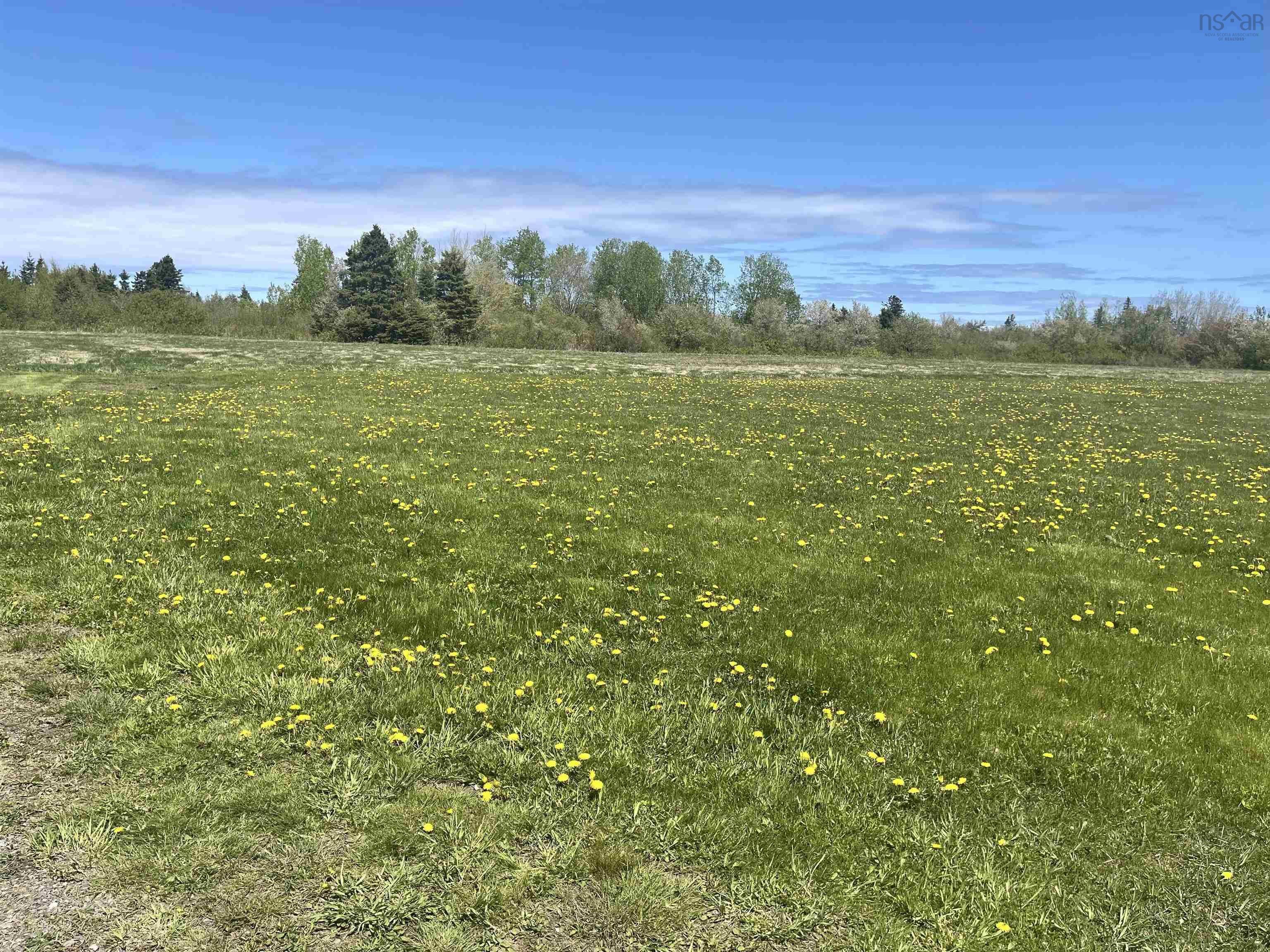 $499,000.00: 70 Saltwater Drive, Malagash