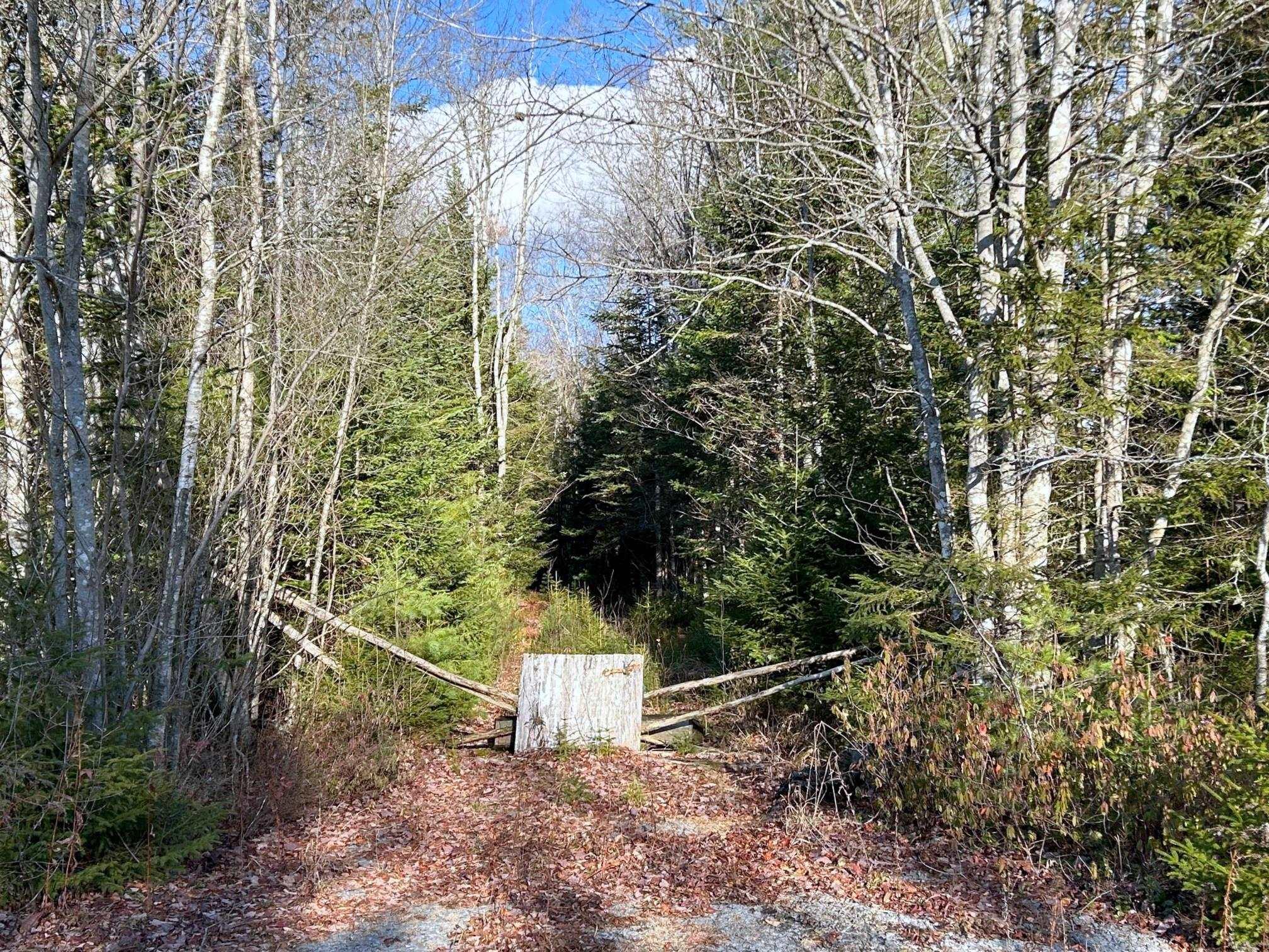 $45,000.00: Mullock Road, Rhodes Corner