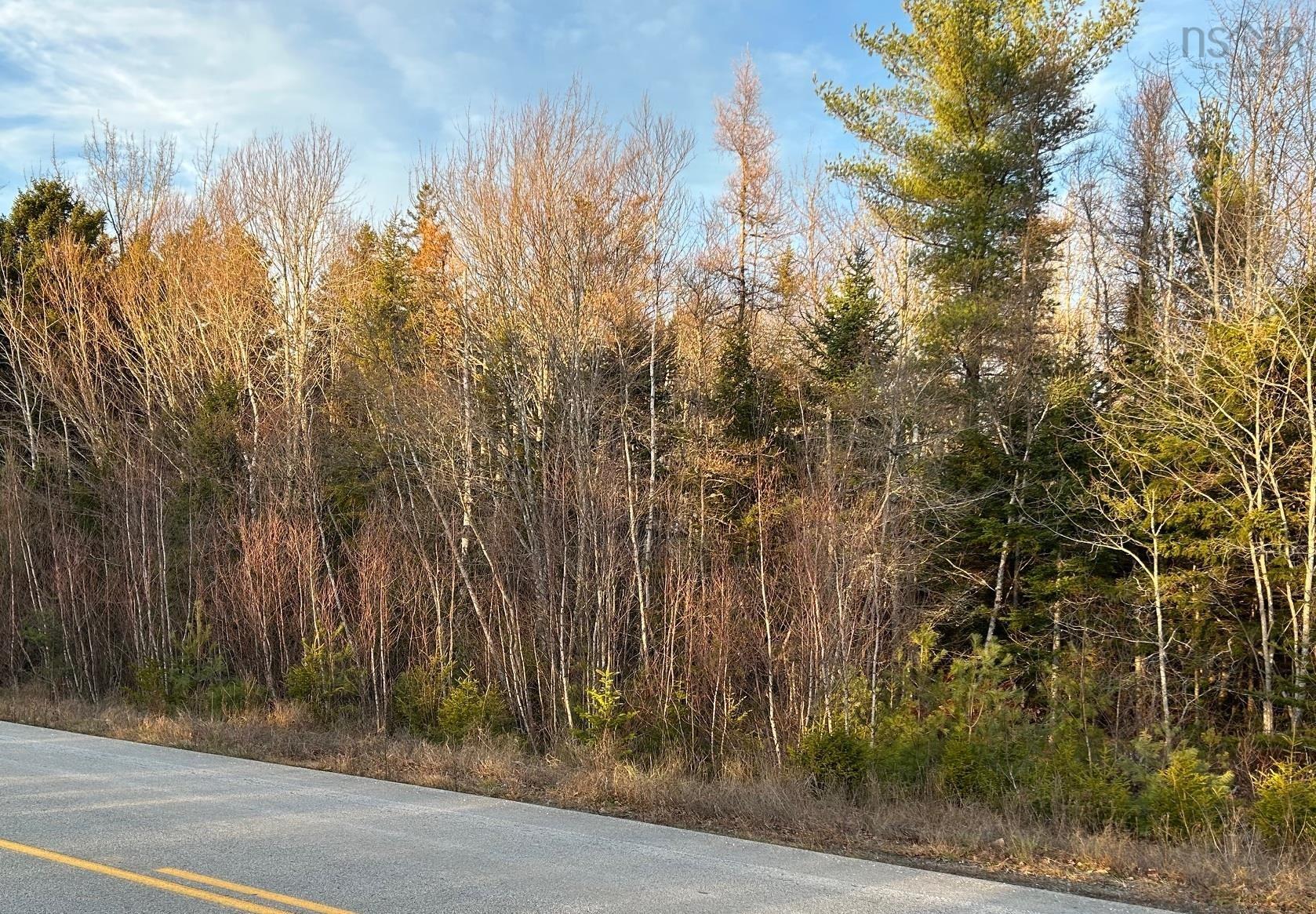 $45,000.00: Mullock Road, Rhodes Corner