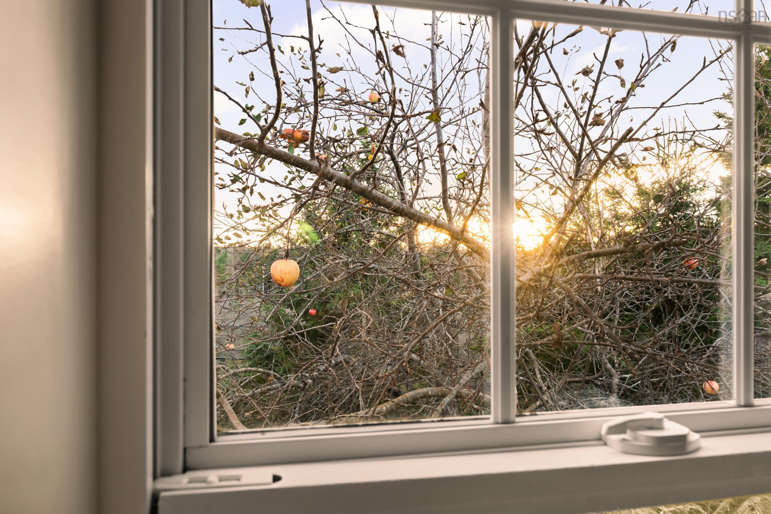 $365,000.00: 9637 Highway, Head Of Jeddore