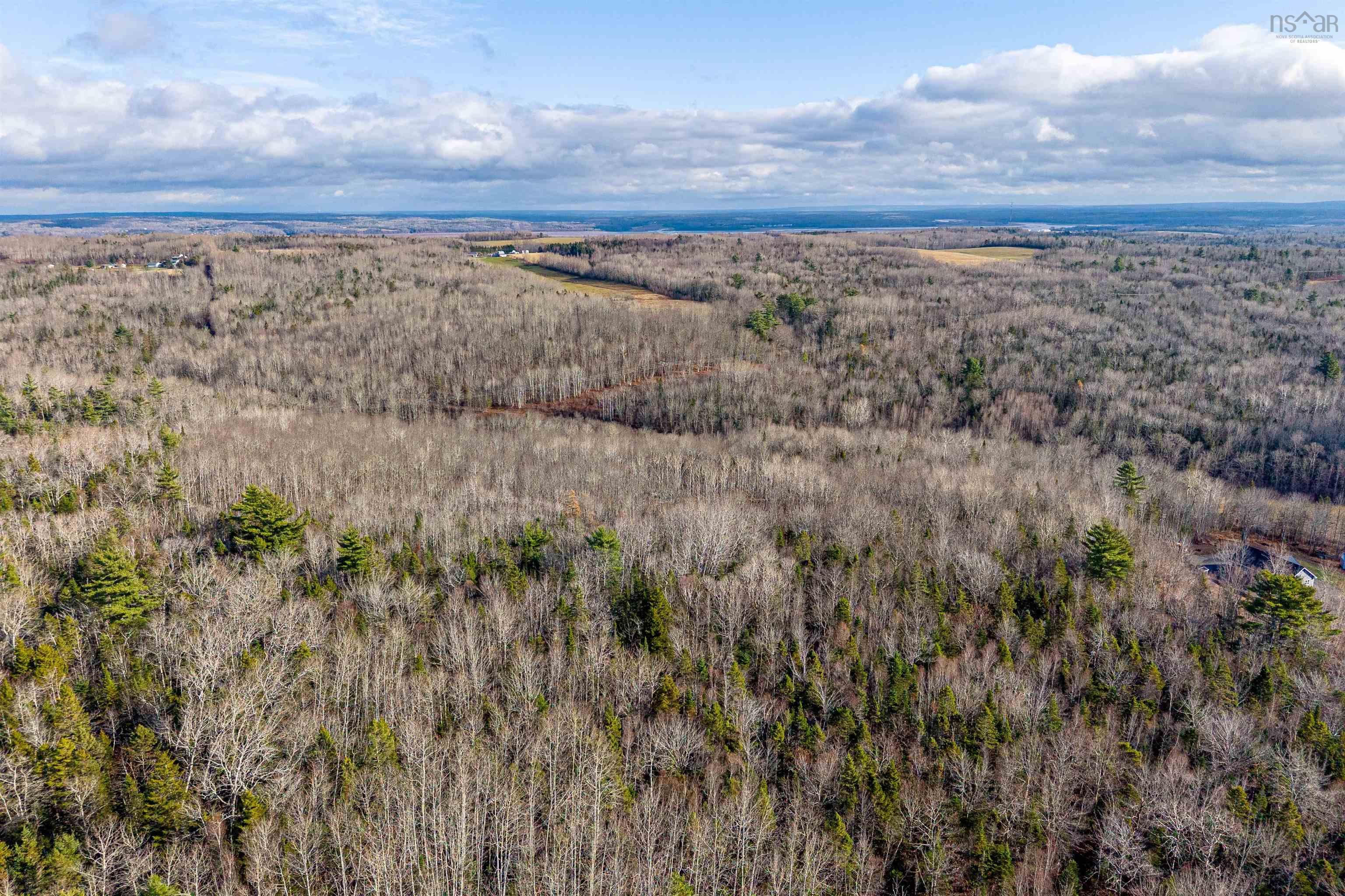 $117,000.00: 19.79 Acres Fuller Road, Bishopville