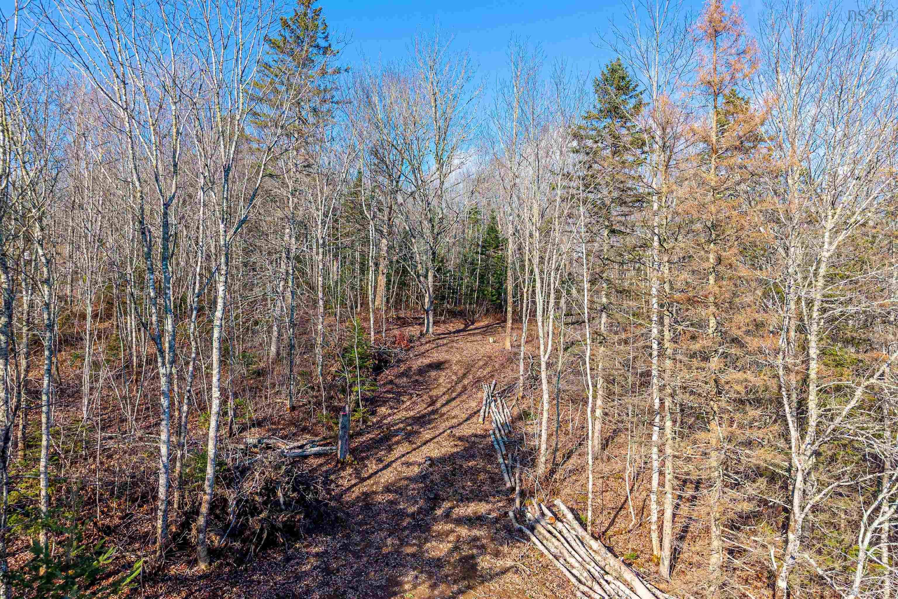 $117,000.00: 19.79 Acres Fuller Road, Bishopville