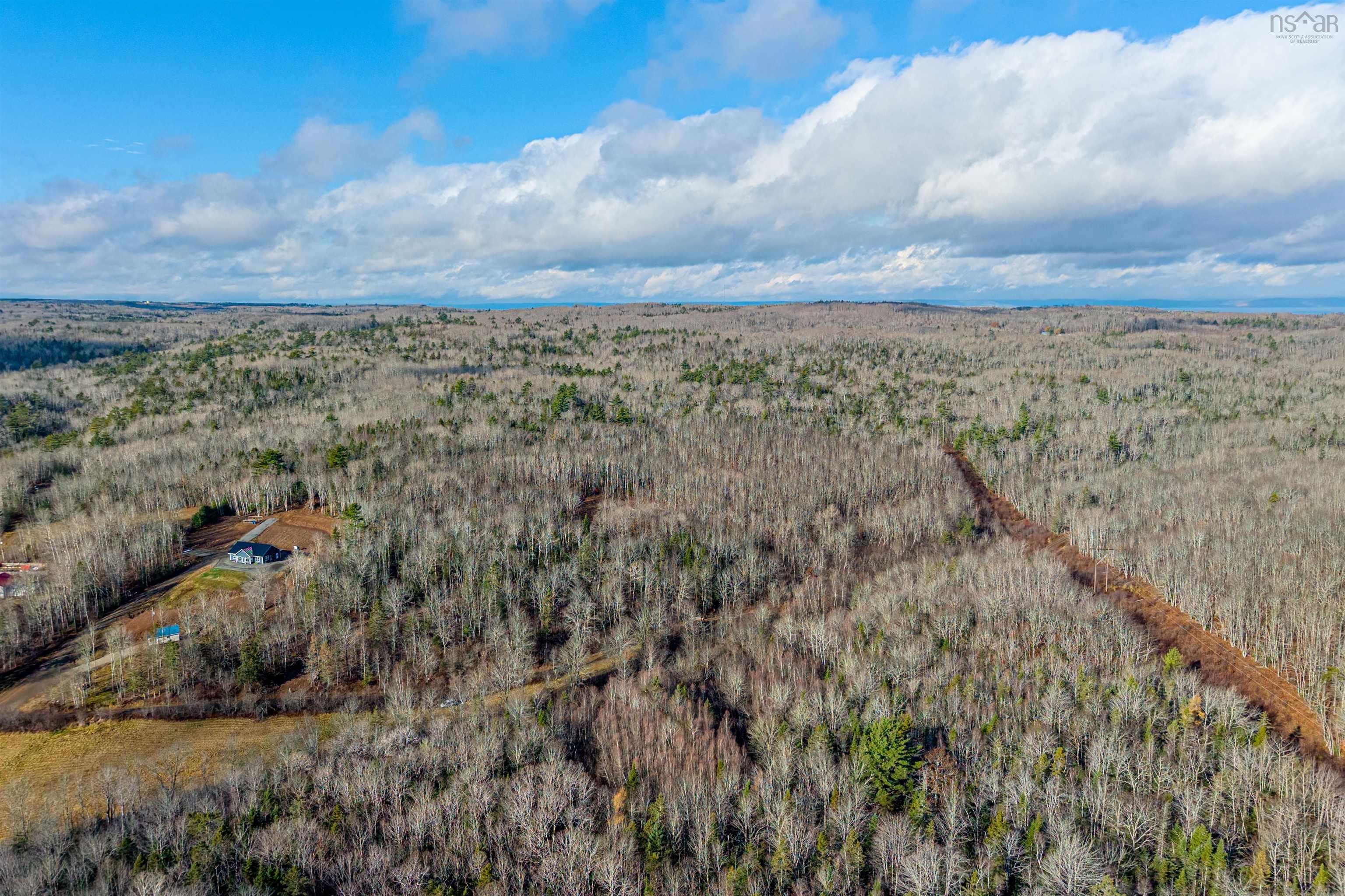 $117,000.00: 19.79 Acres Fuller Road, Bishopville