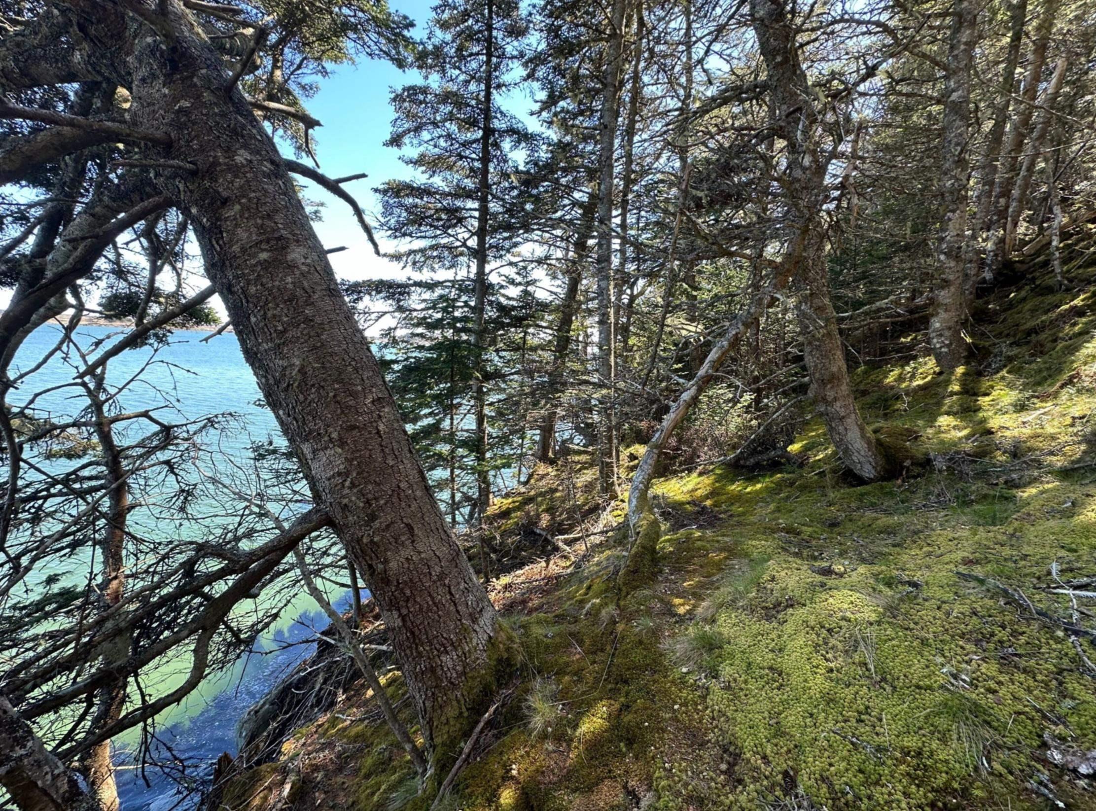 $325,000.00: 1415 Highway 304, Cape Forchu