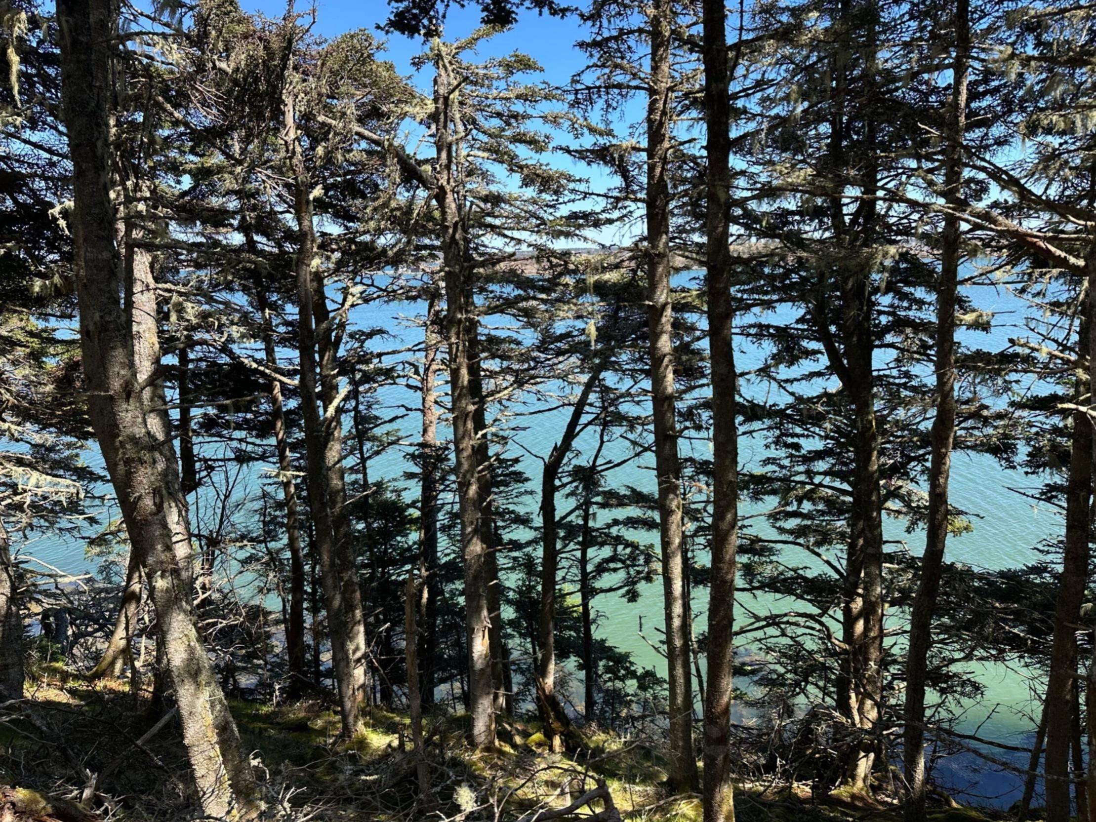 $325,000.00: 1415 Highway 304, Cape Forchu